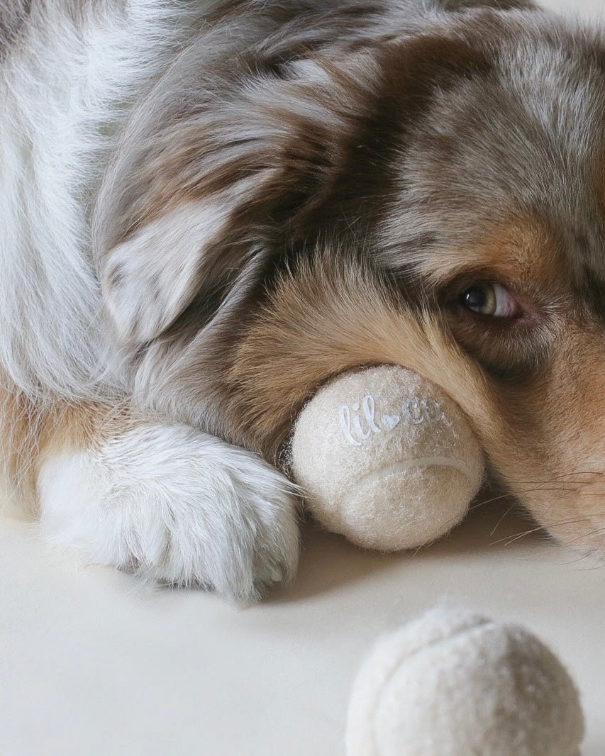 Lilco Tennis Ball | Moonbeam