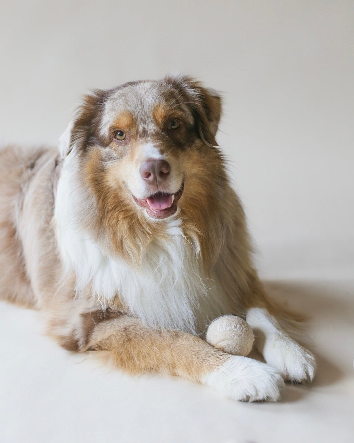 Lilco Tennis Ball | Moonbeam