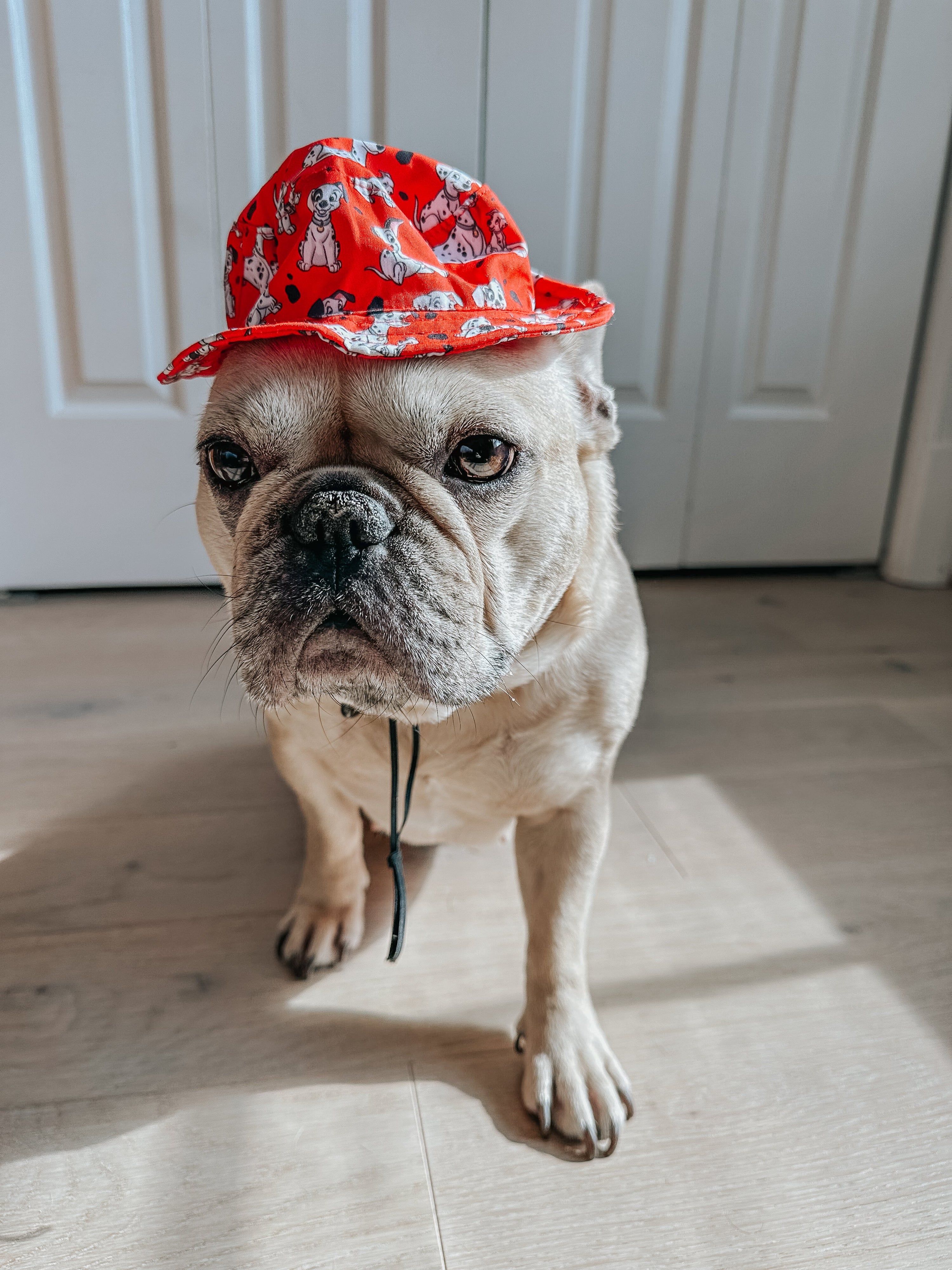 Dog Bucket Hat - Disneys 101 Dalmatians
