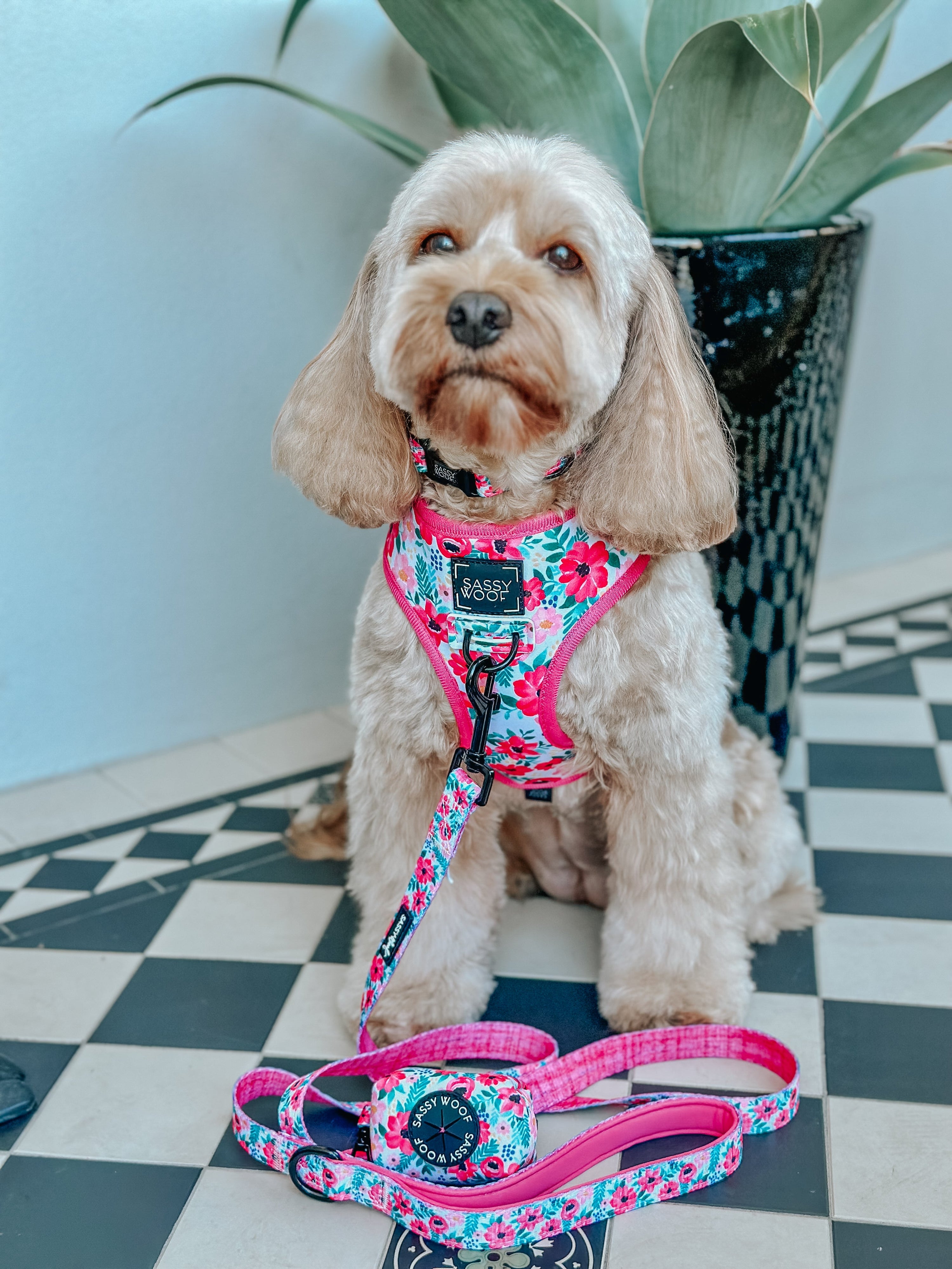 Dog Reversible Harness - Floral Frenzy