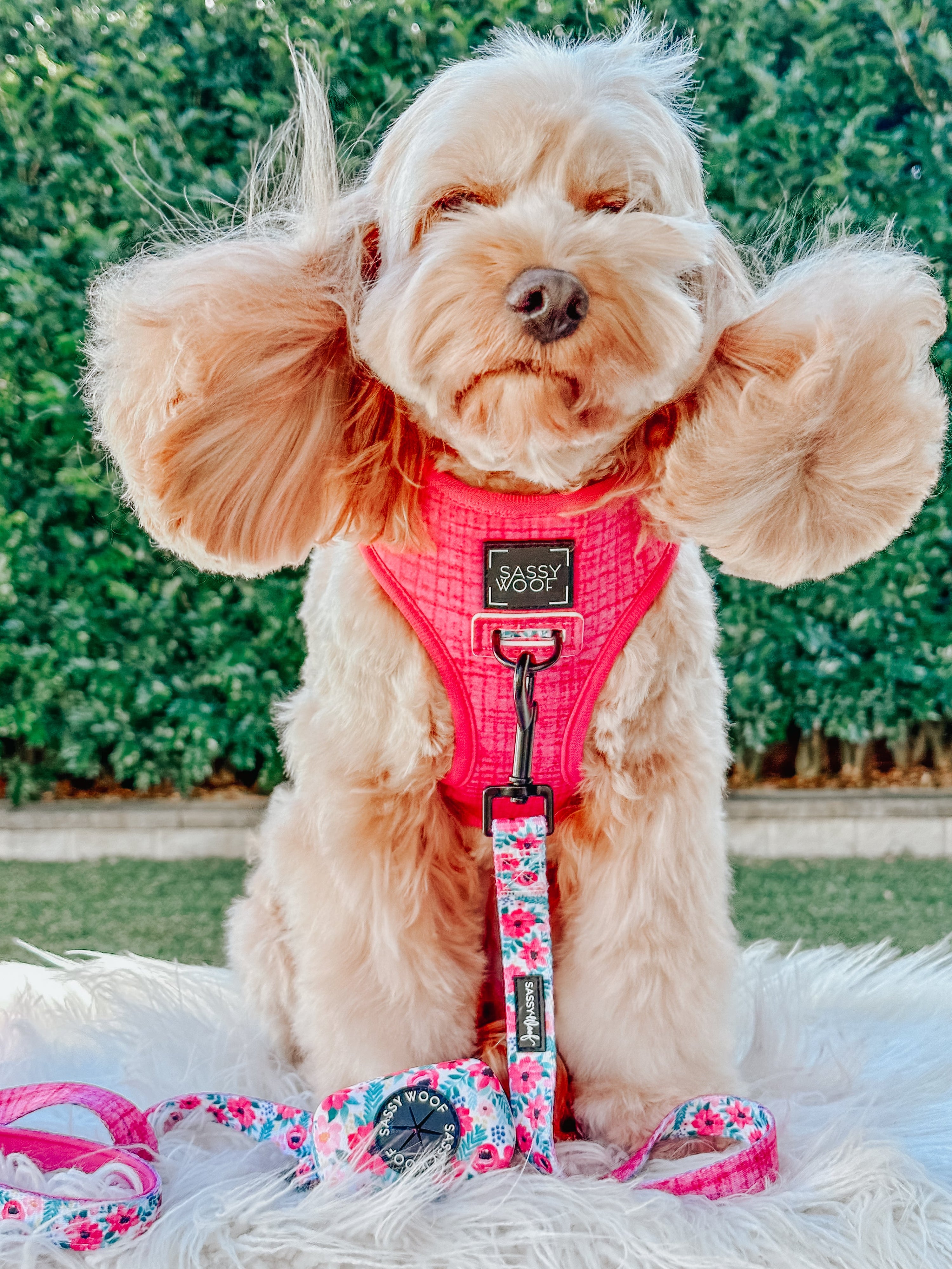 Dog Reversible Harness - Floral Frenzy