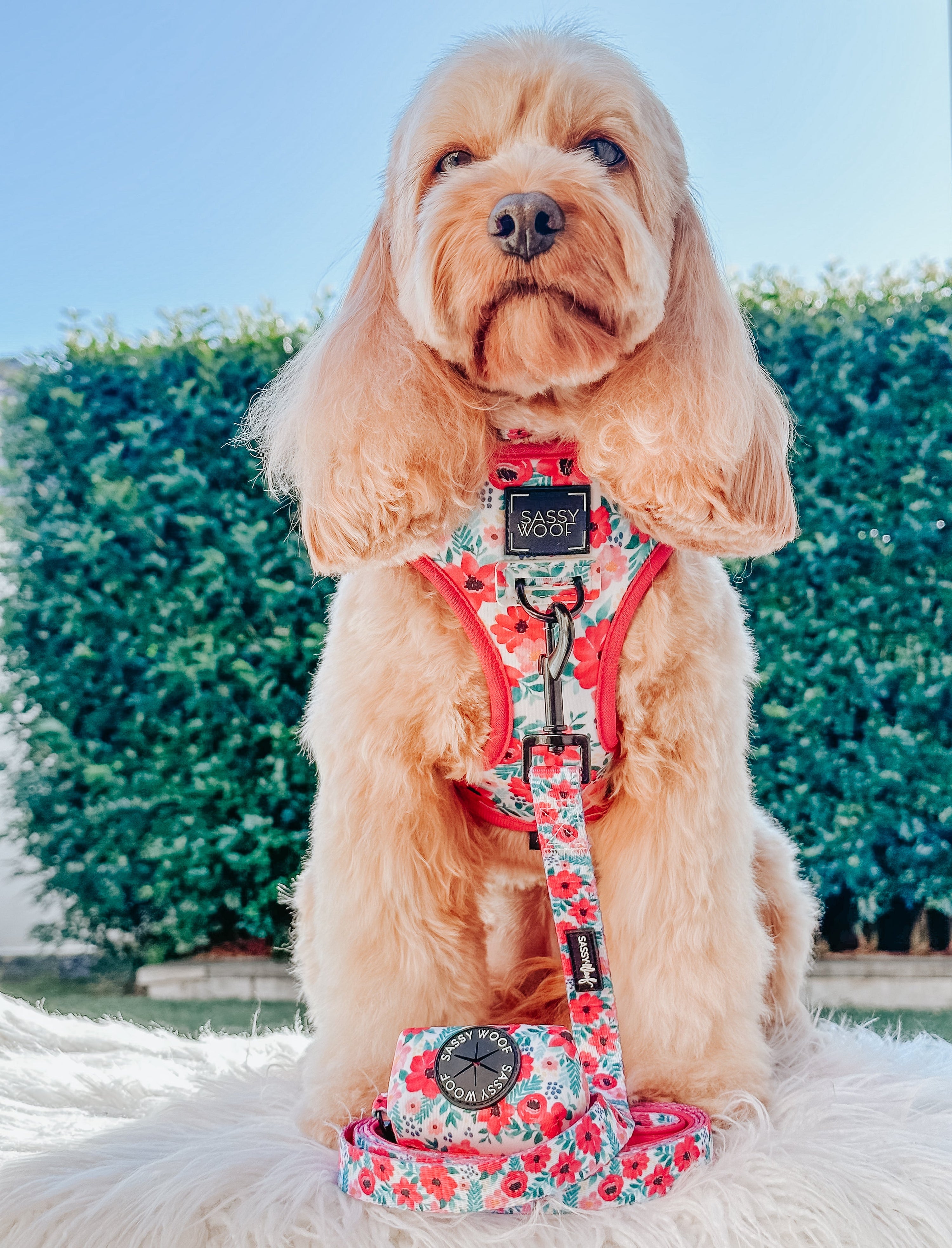 Dog Reversible Harness - Floral Frenzy