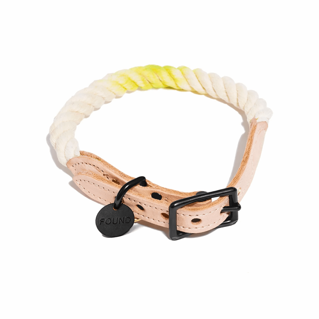 Lime Cotton Rope Cat & Dog Collar – Matte Black Hardware
