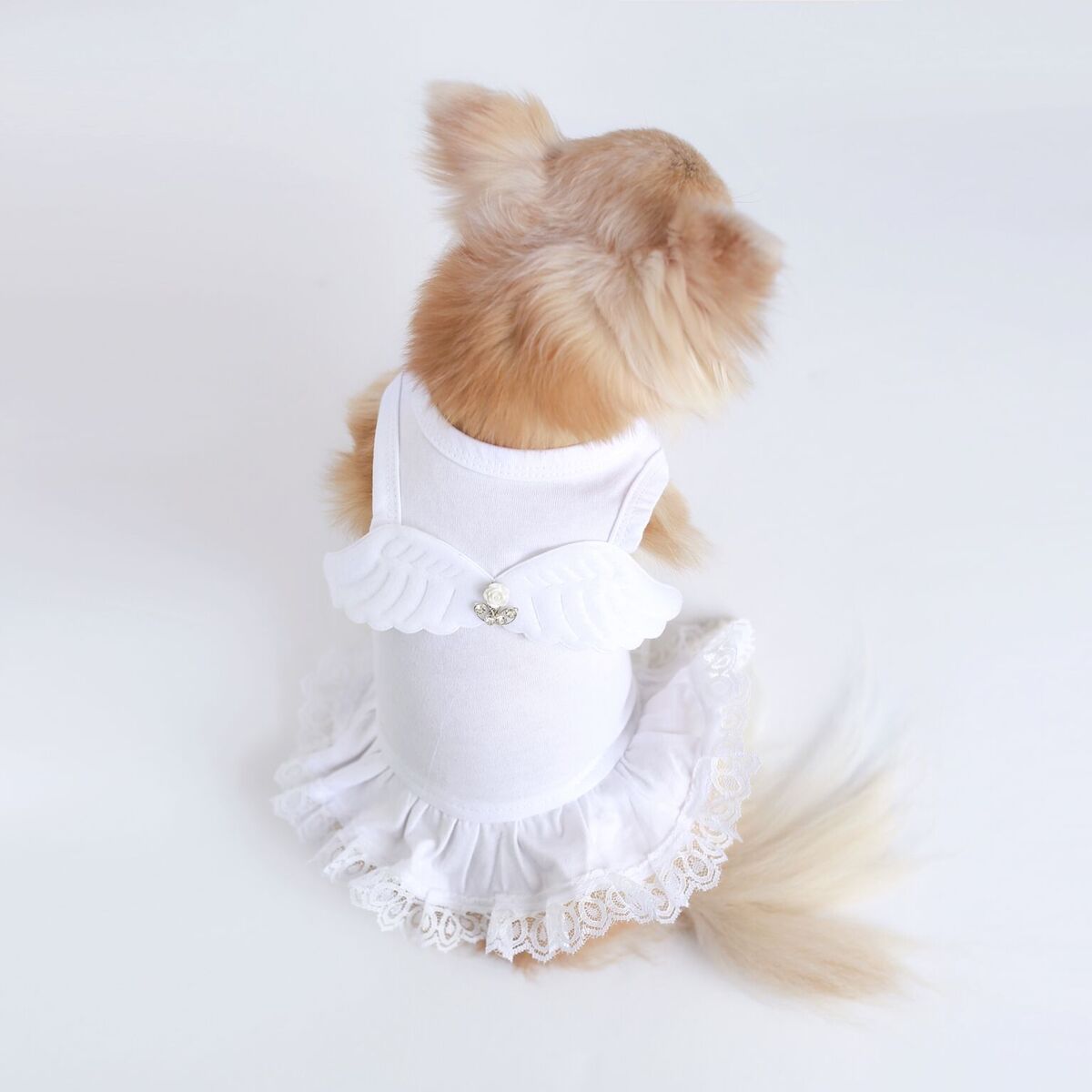 Hello Doggie Lil Angel Cotton Crystal Dog Dress