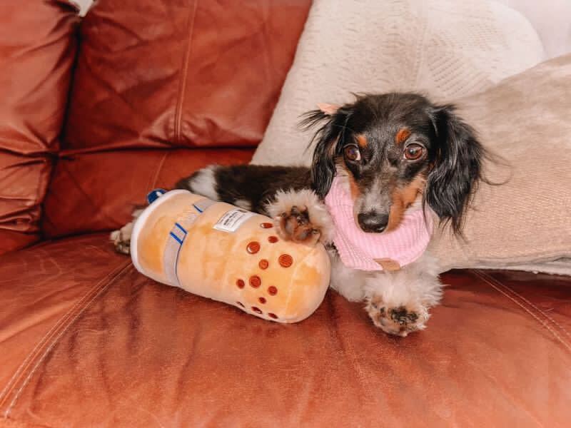 Pawty Boba Tea Plush Dog Toy