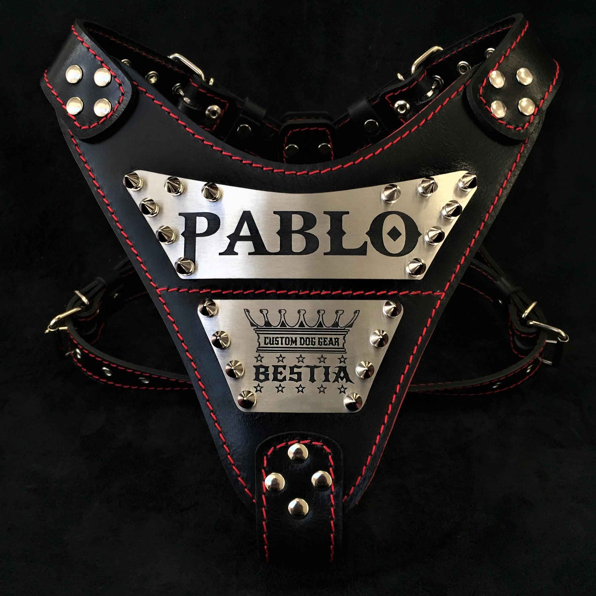 Bestia Metal Personalized Leather Dog Harness