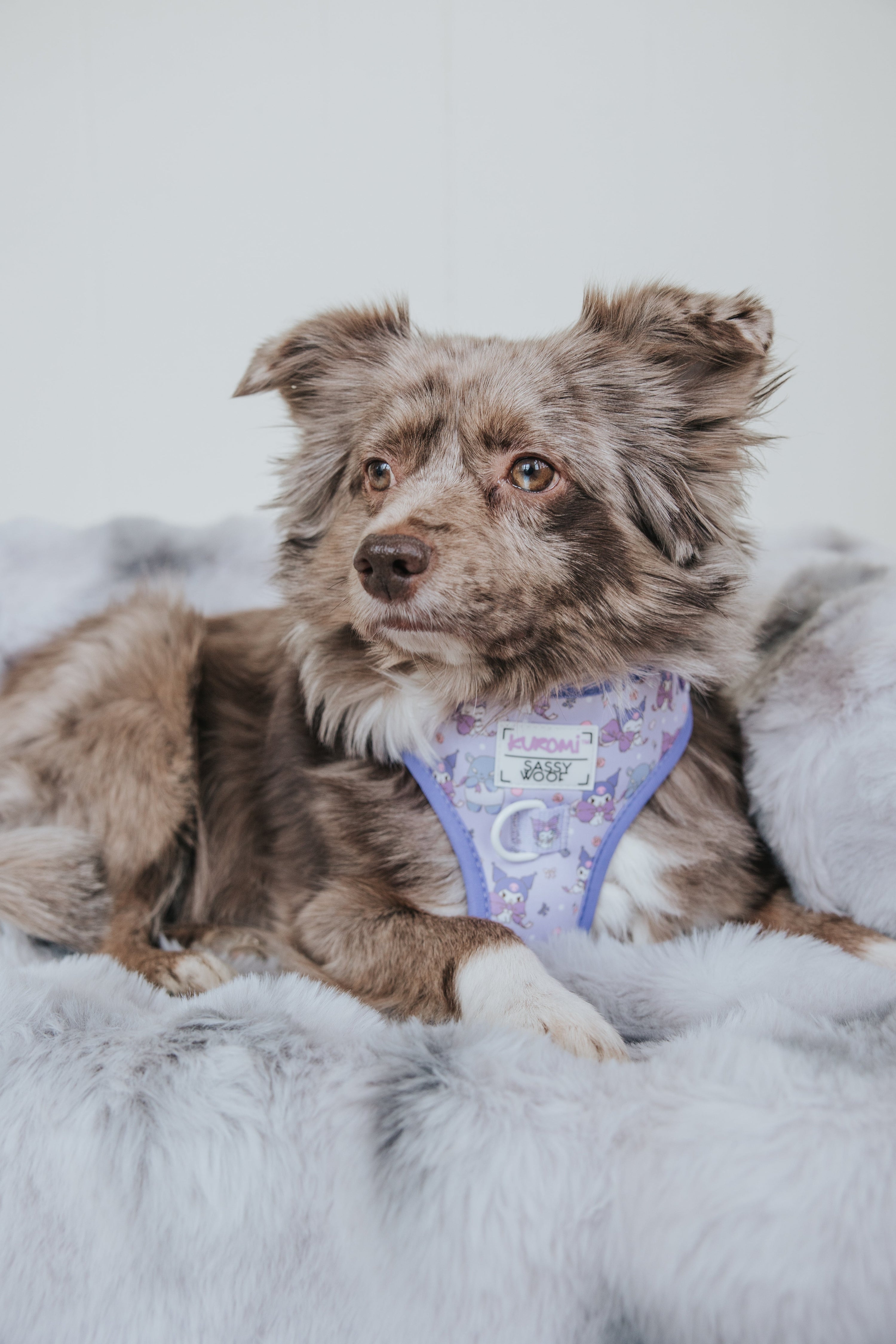 Dog Adjustable Harness - Kuromi™