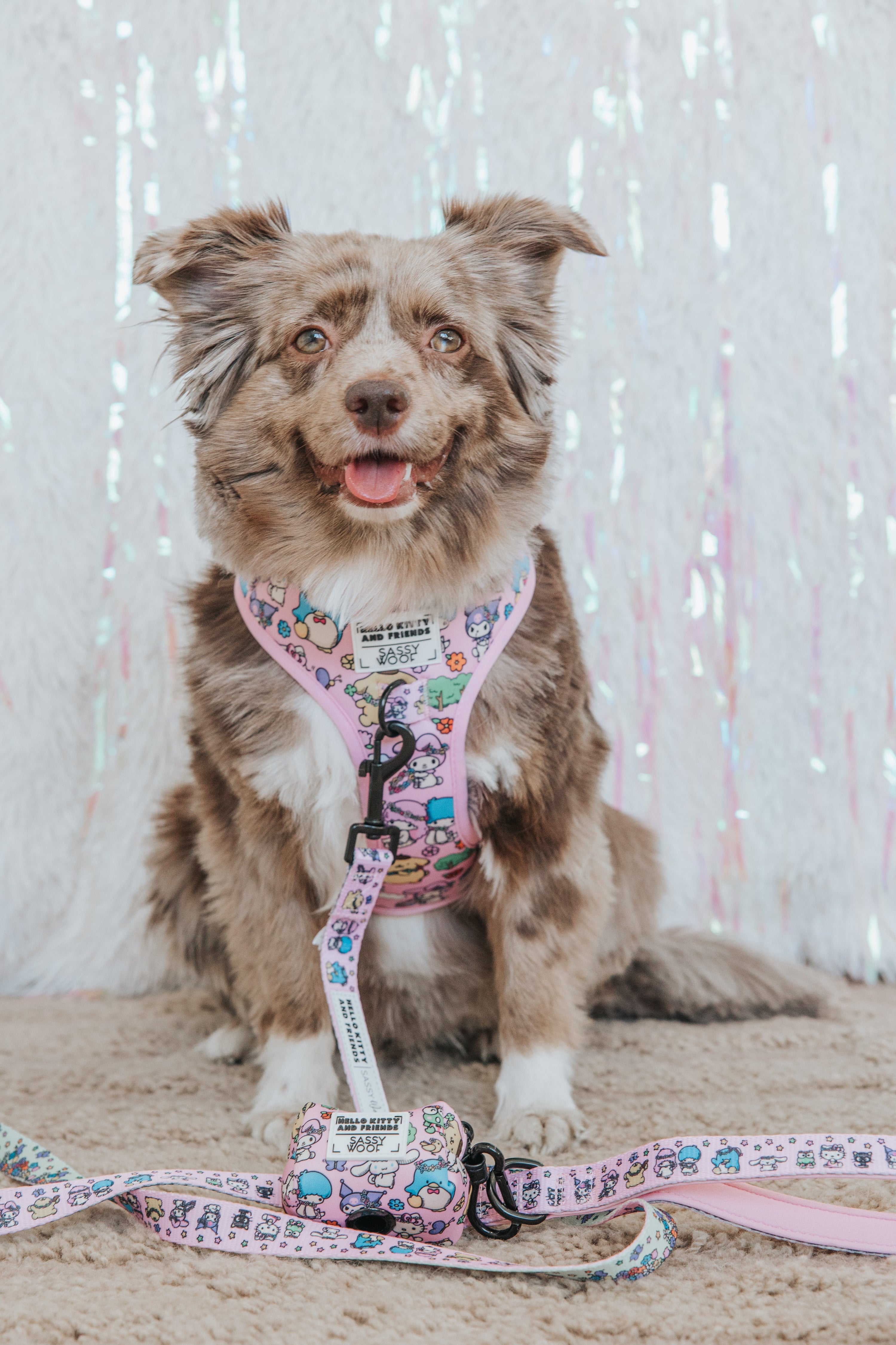 Dog Leash - Hello Kitty® & Friends Flower Festival
