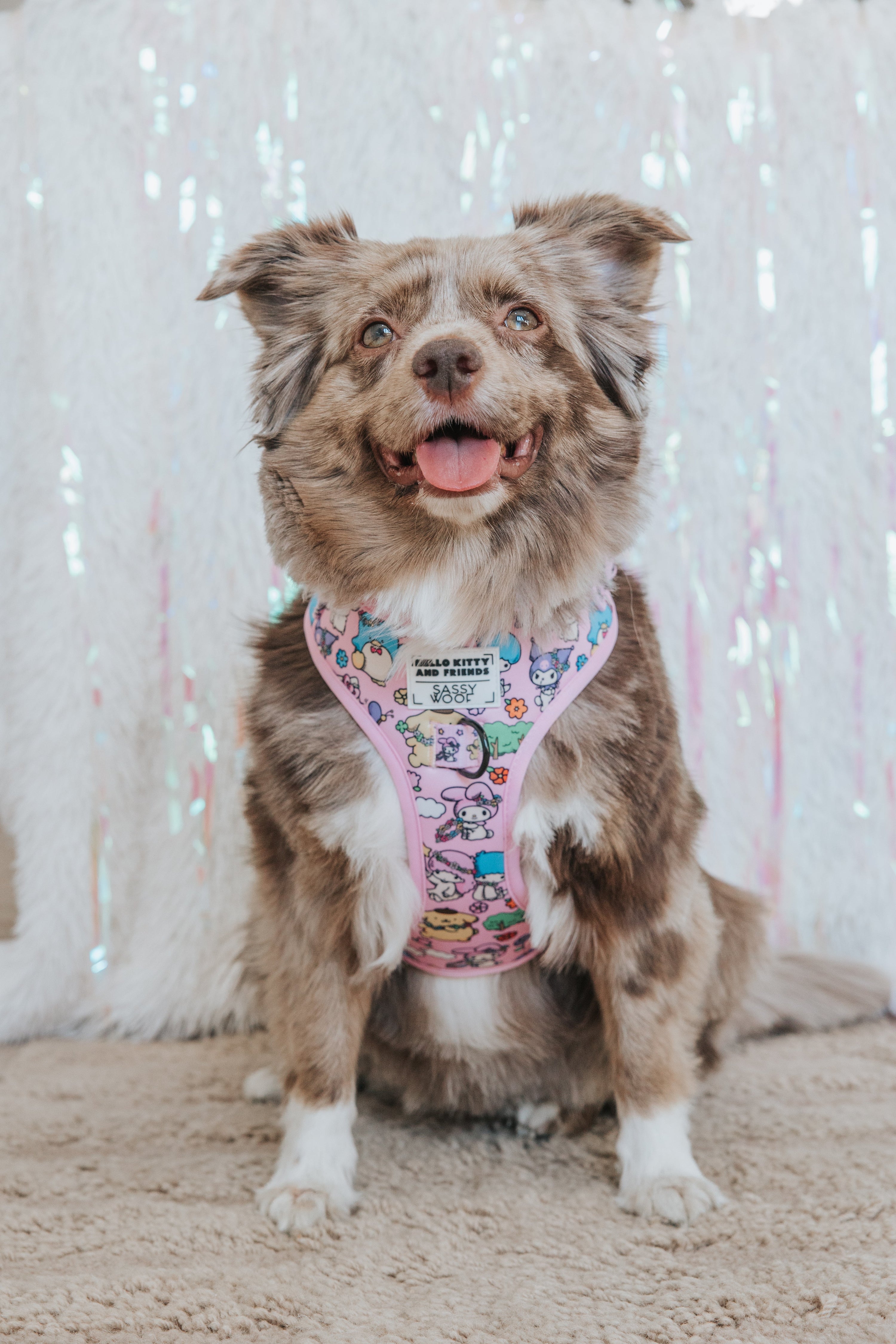Dog Adjustable Harness - Hello Kitty® & Friends Flower Festival