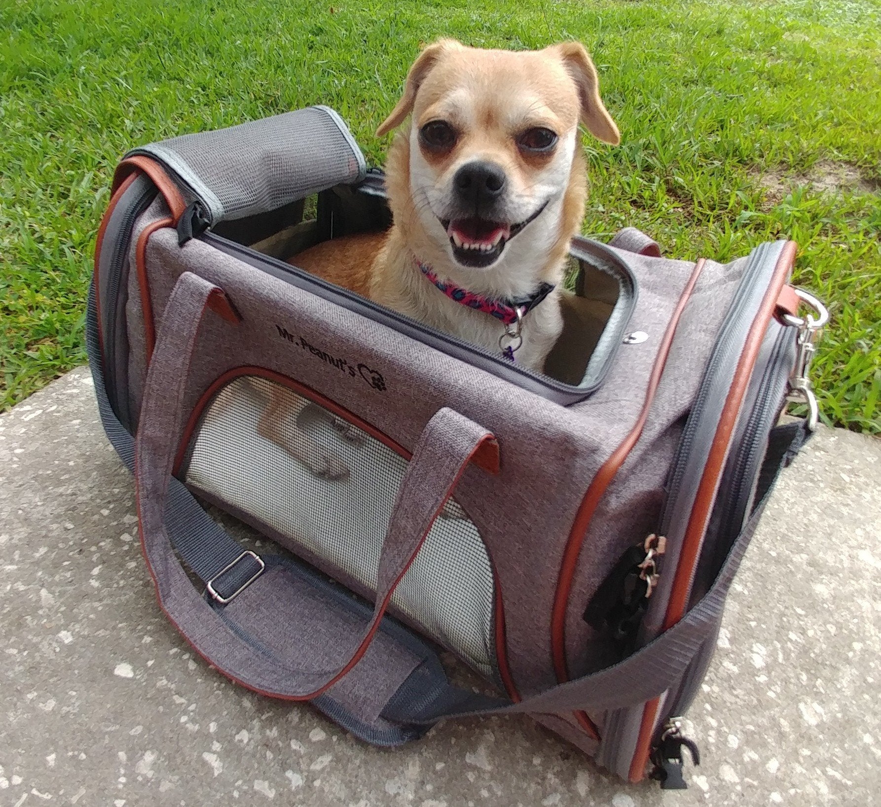 Mr. Peanuts Gold Series Standard Size Airline Compliant Pet Carrier
