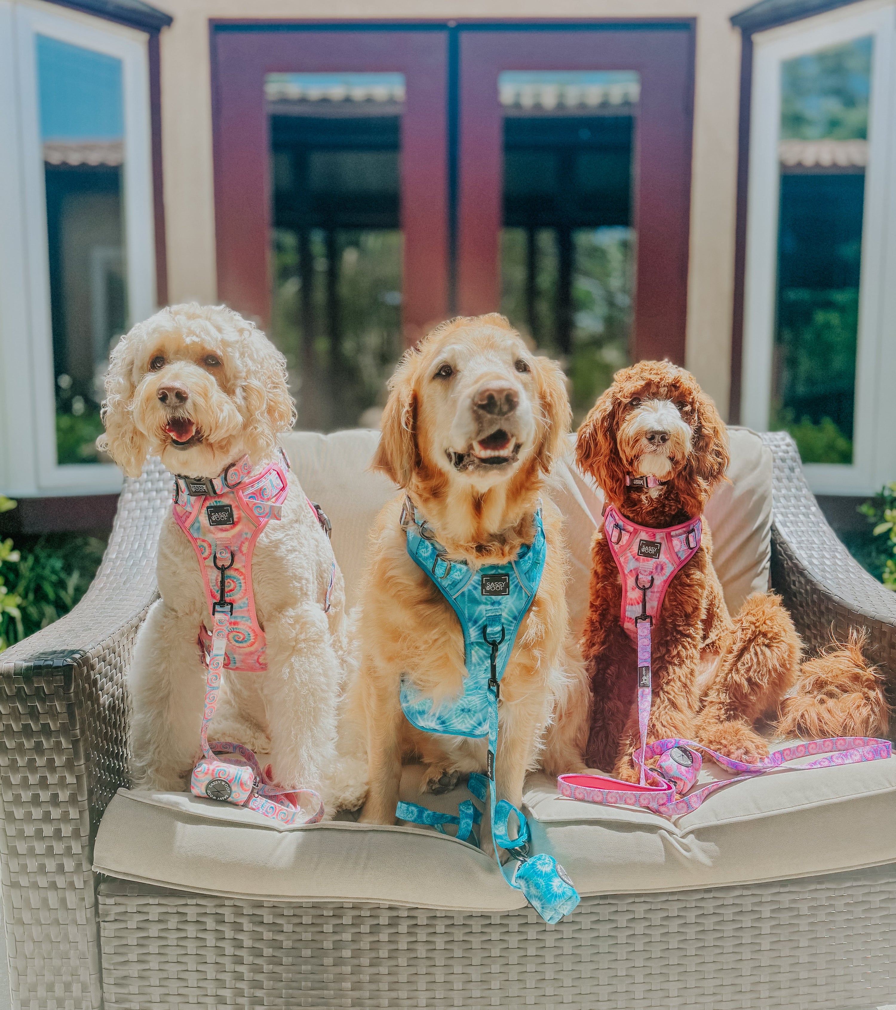 Dog Step-in Harness - Good Vibes