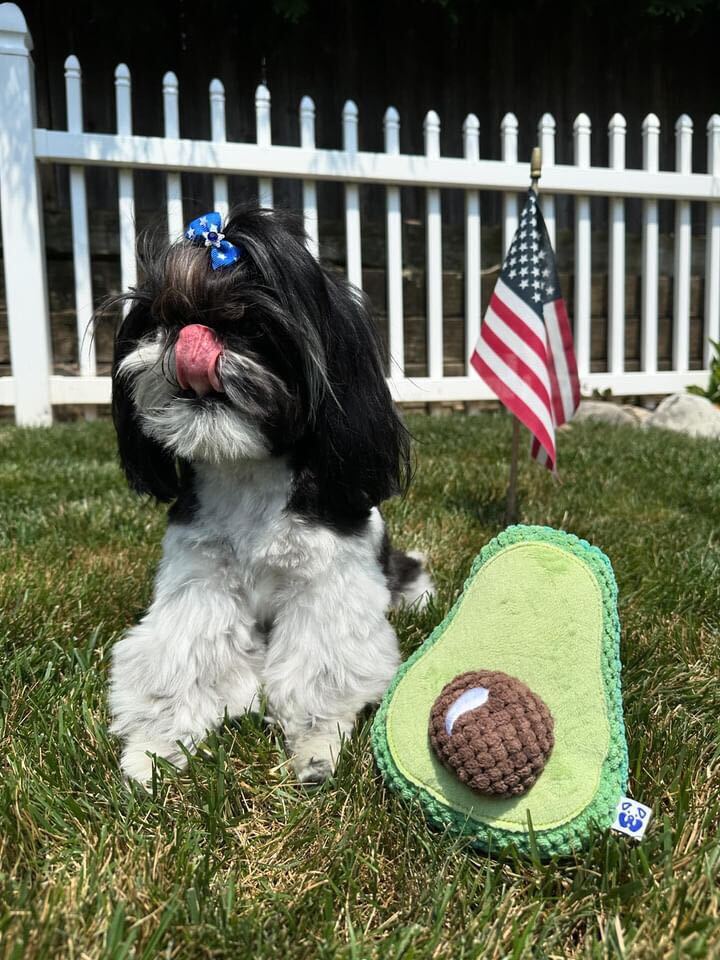 Pawty Avocado Plush Squeaky Dog Toy