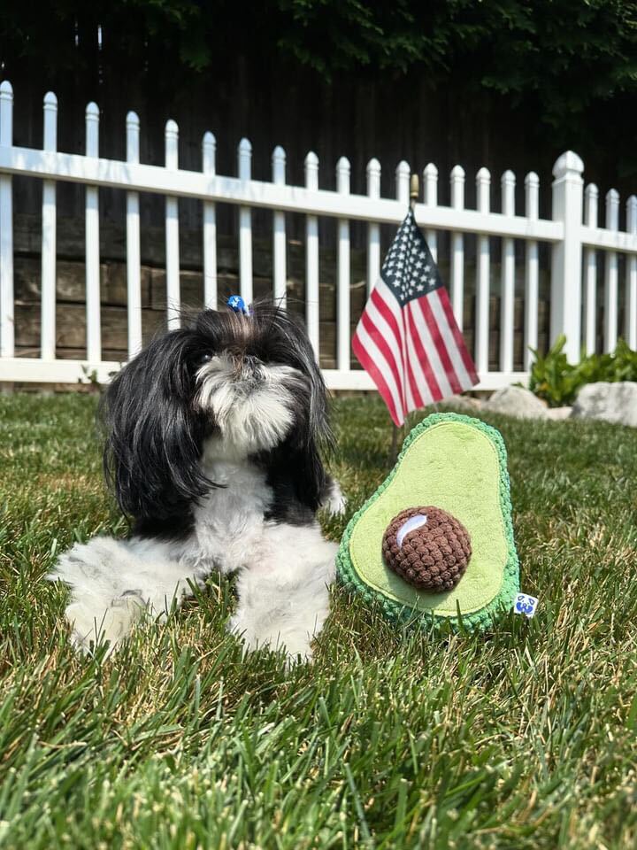 Pawty Avocado Plush Squeaky Dog Toy