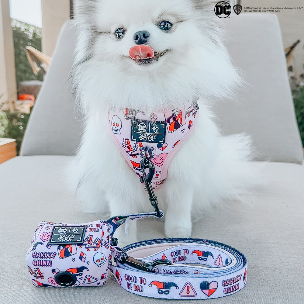 Dog Adjustable Harness - Harley Quinn™