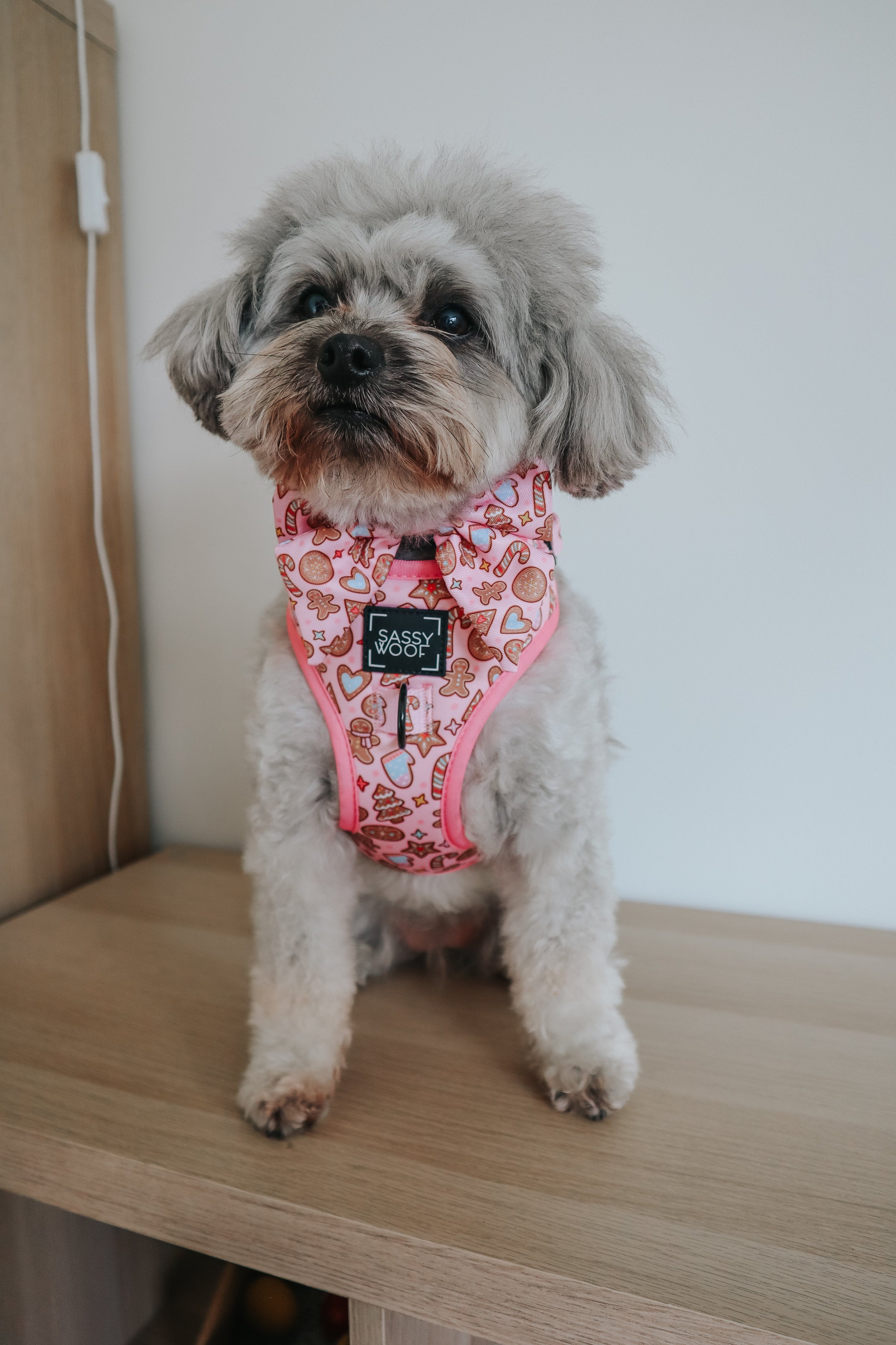 Dog Adjustable Harness - Dough My Goodness