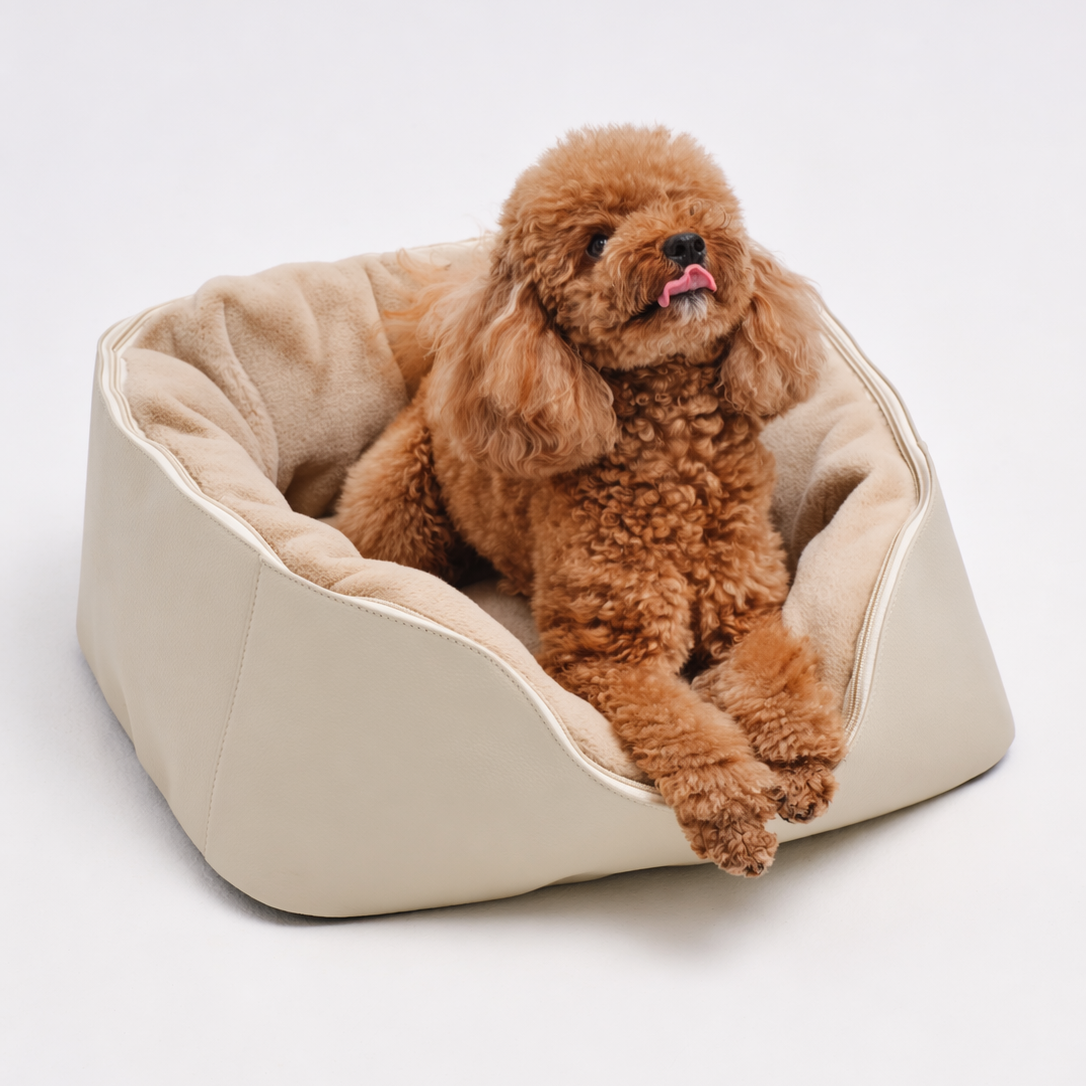 Pet Bed