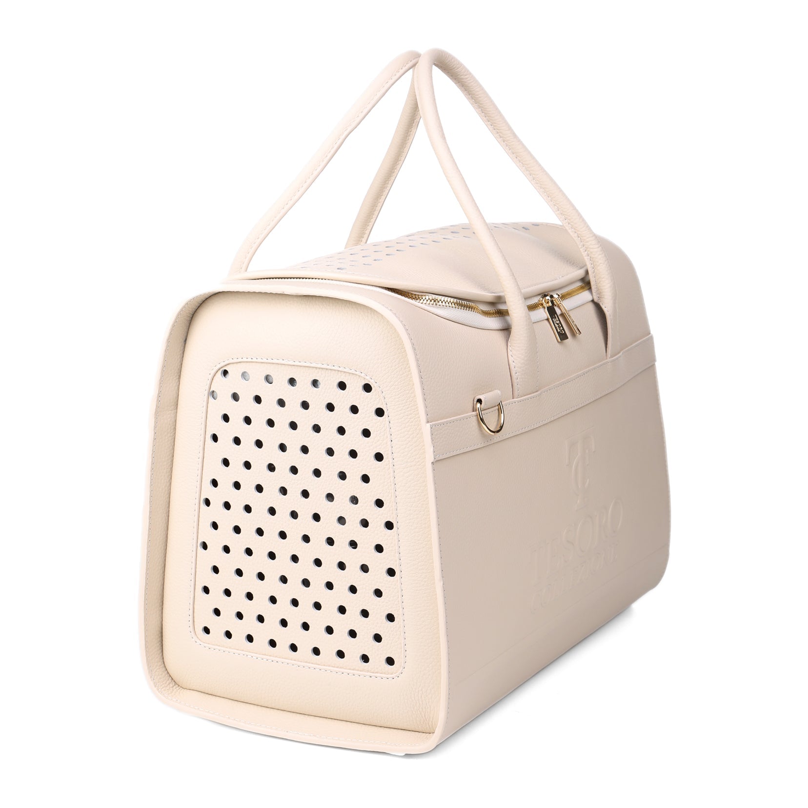 Travel Pet Carrier