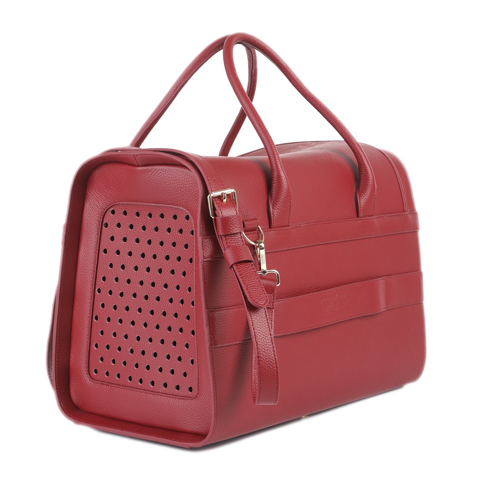 Travel Pet Carrier