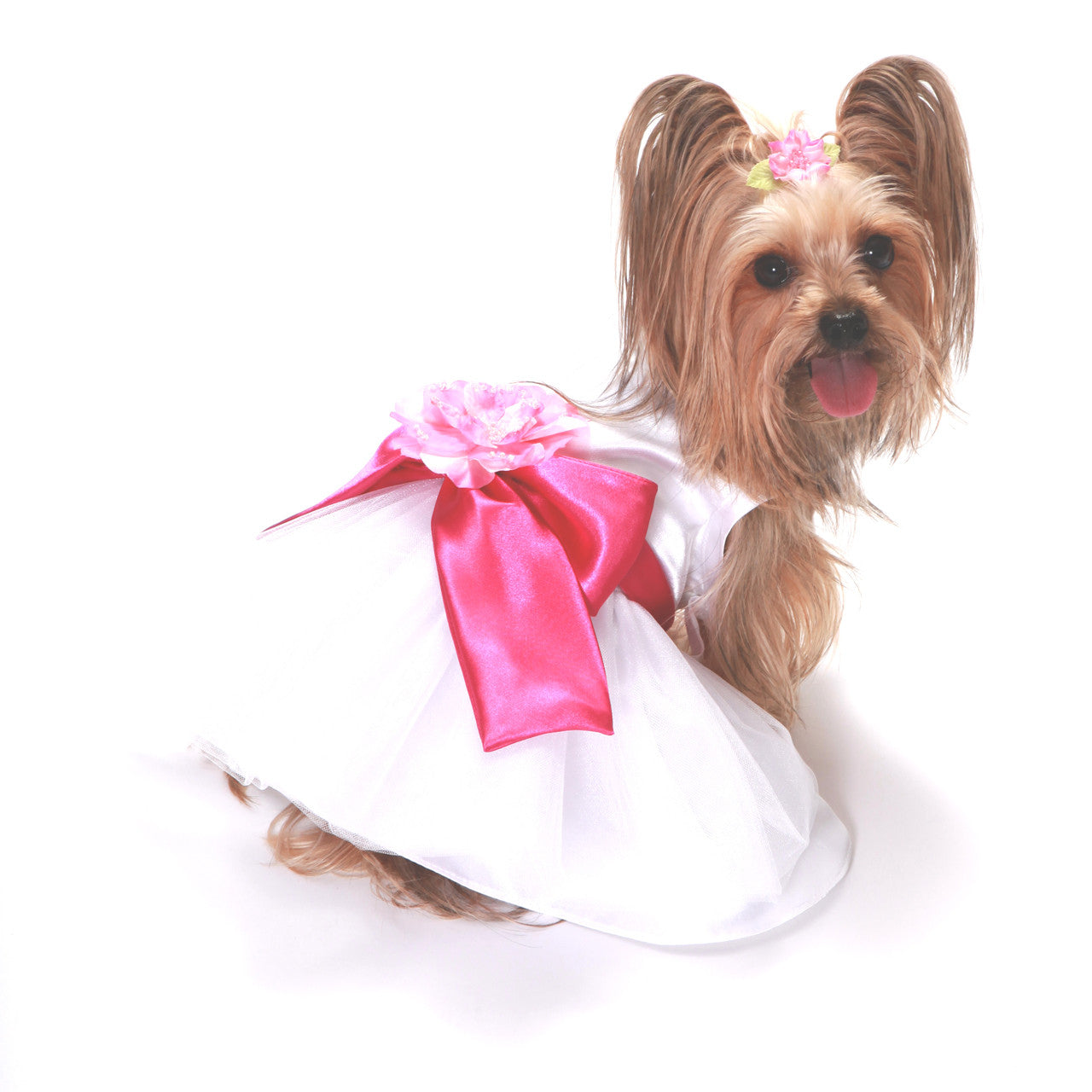 The Madeleine Dog Harness Dress with Hot Pink Sash