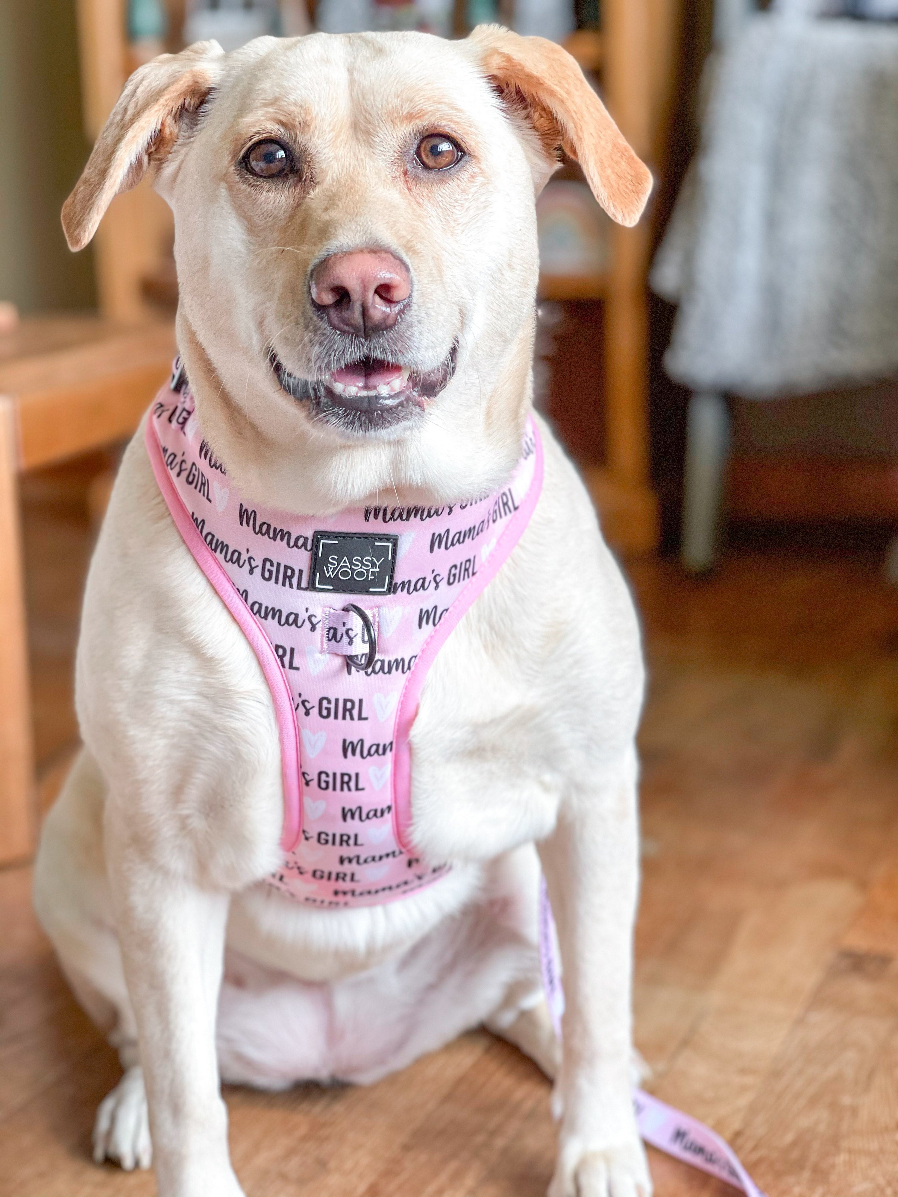 Dog Adjustable Harness - Mamas Girl