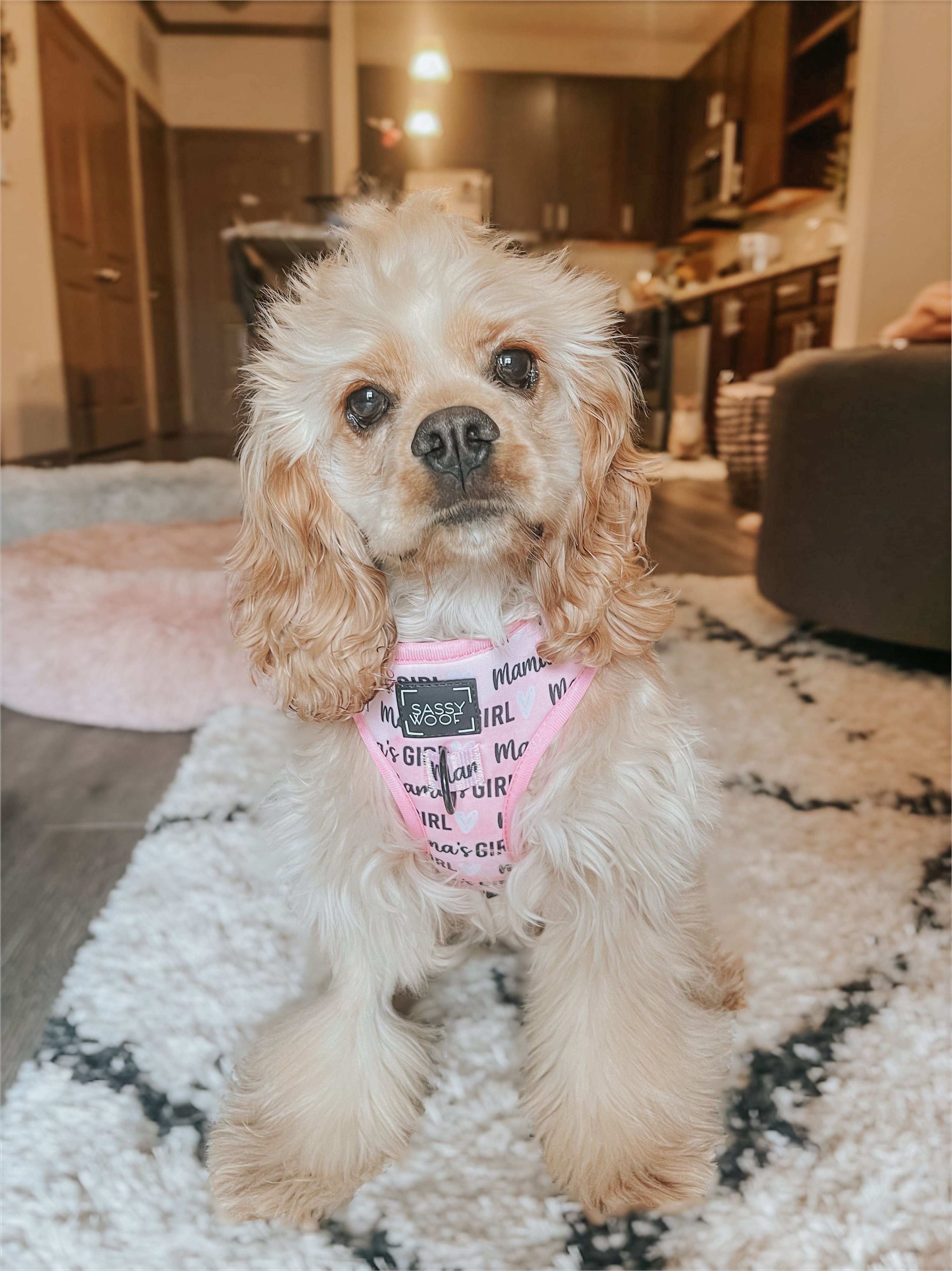 Dog Adjustable Harness - Mamas Girl