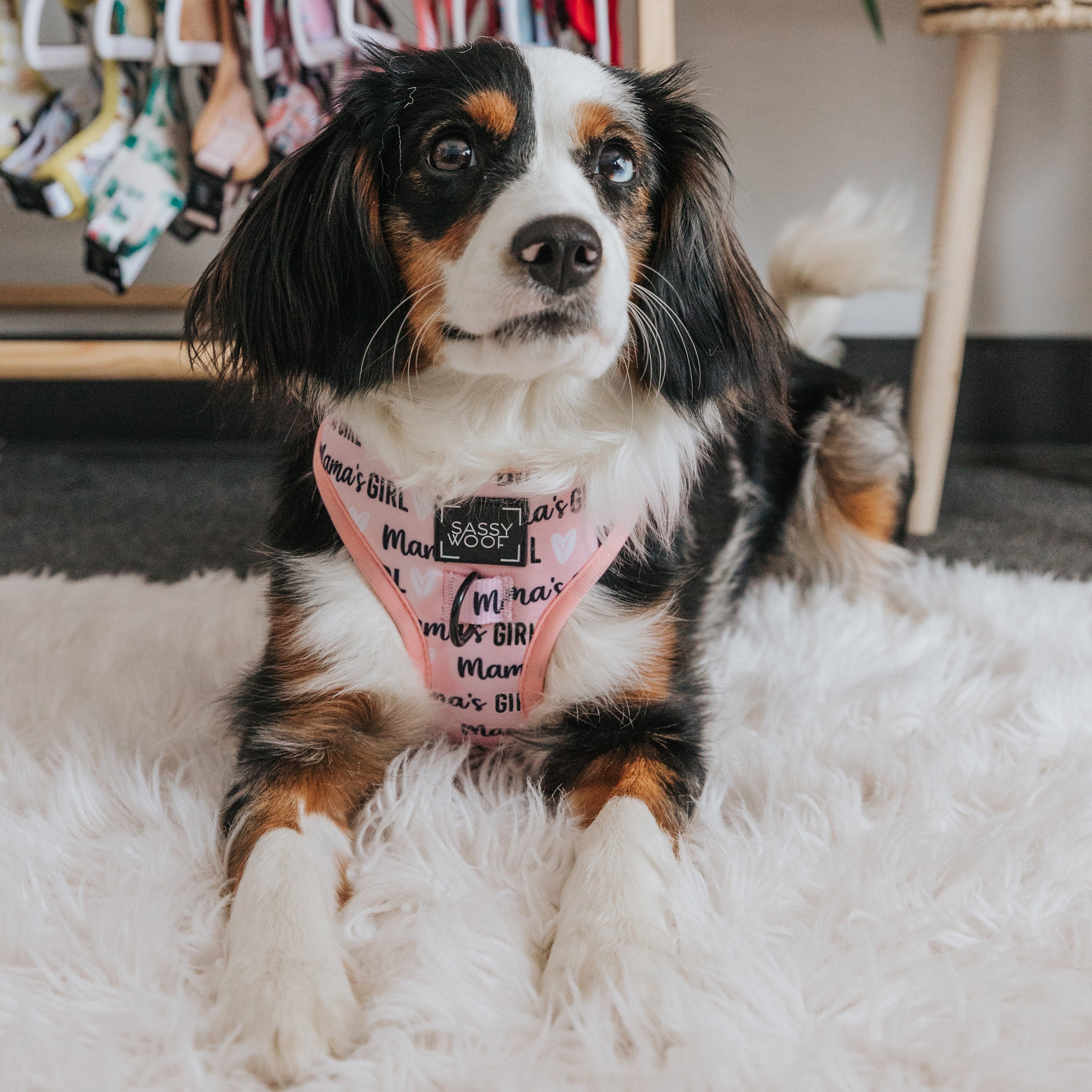 Dog Adjustable Harness - Mamas Girl