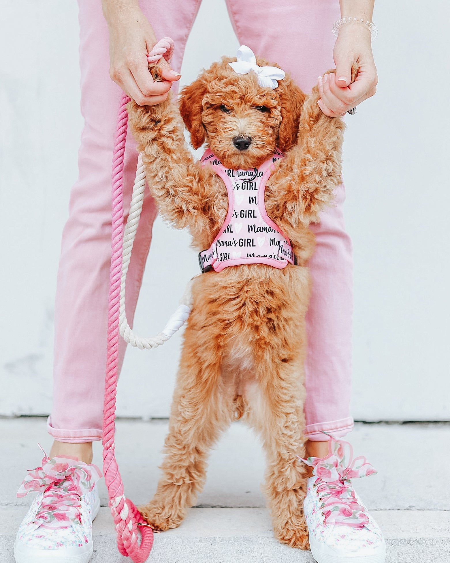 Dog Adjustable Harness - Mamas Girl