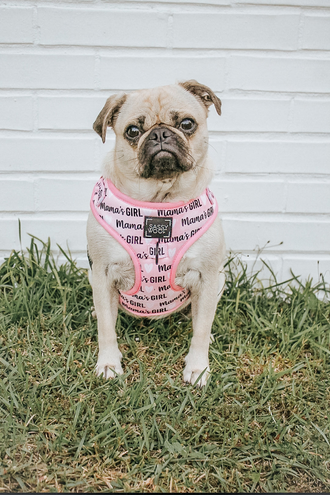 Dog Adjustable Harness - Mamas Girl