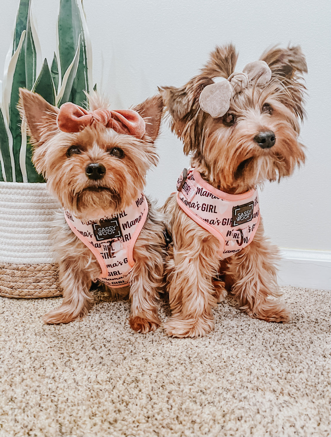 Dog Adjustable Harness - Mamas Girl