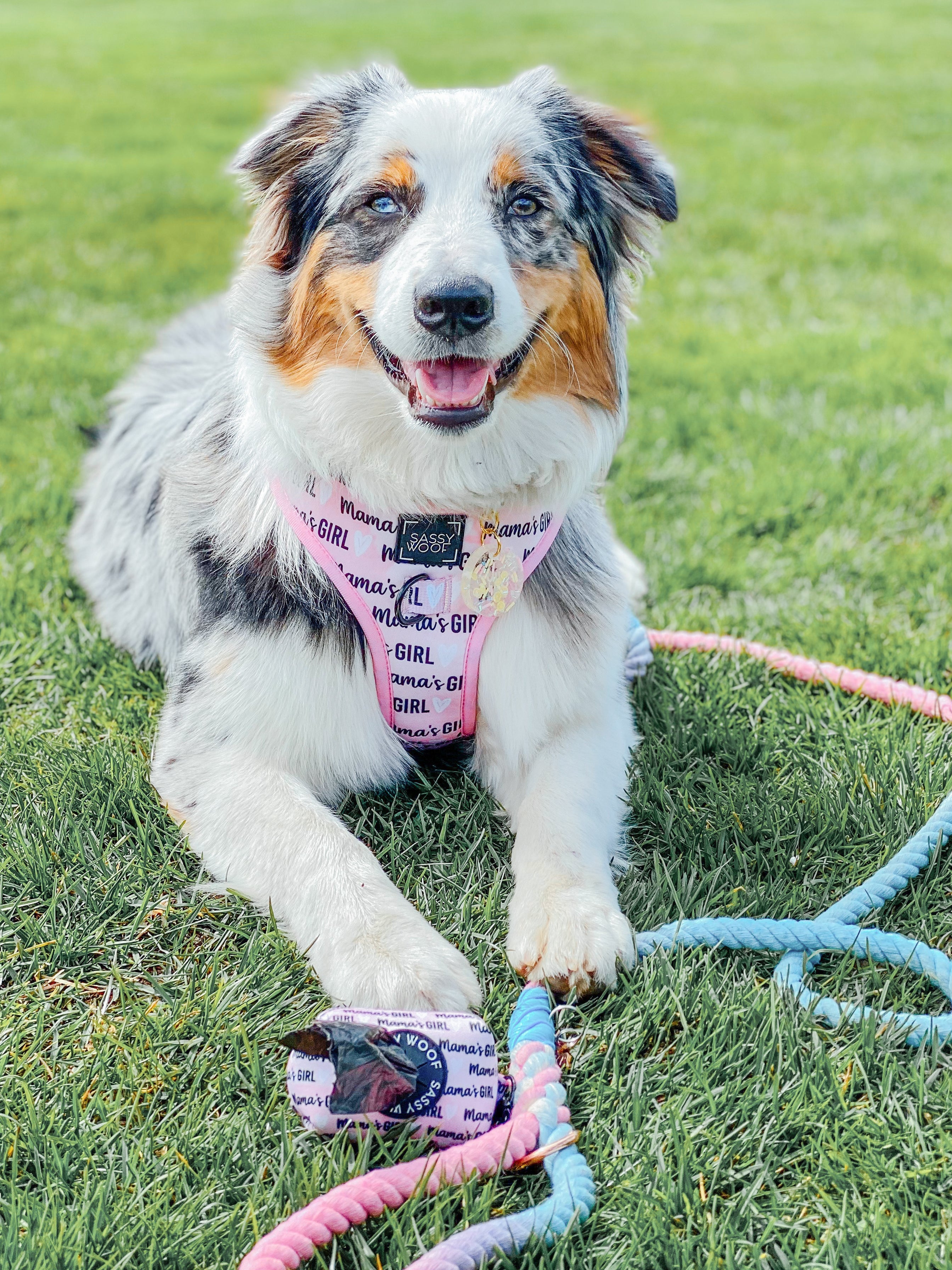 Dog Adjustable Harness - Mamas Girl