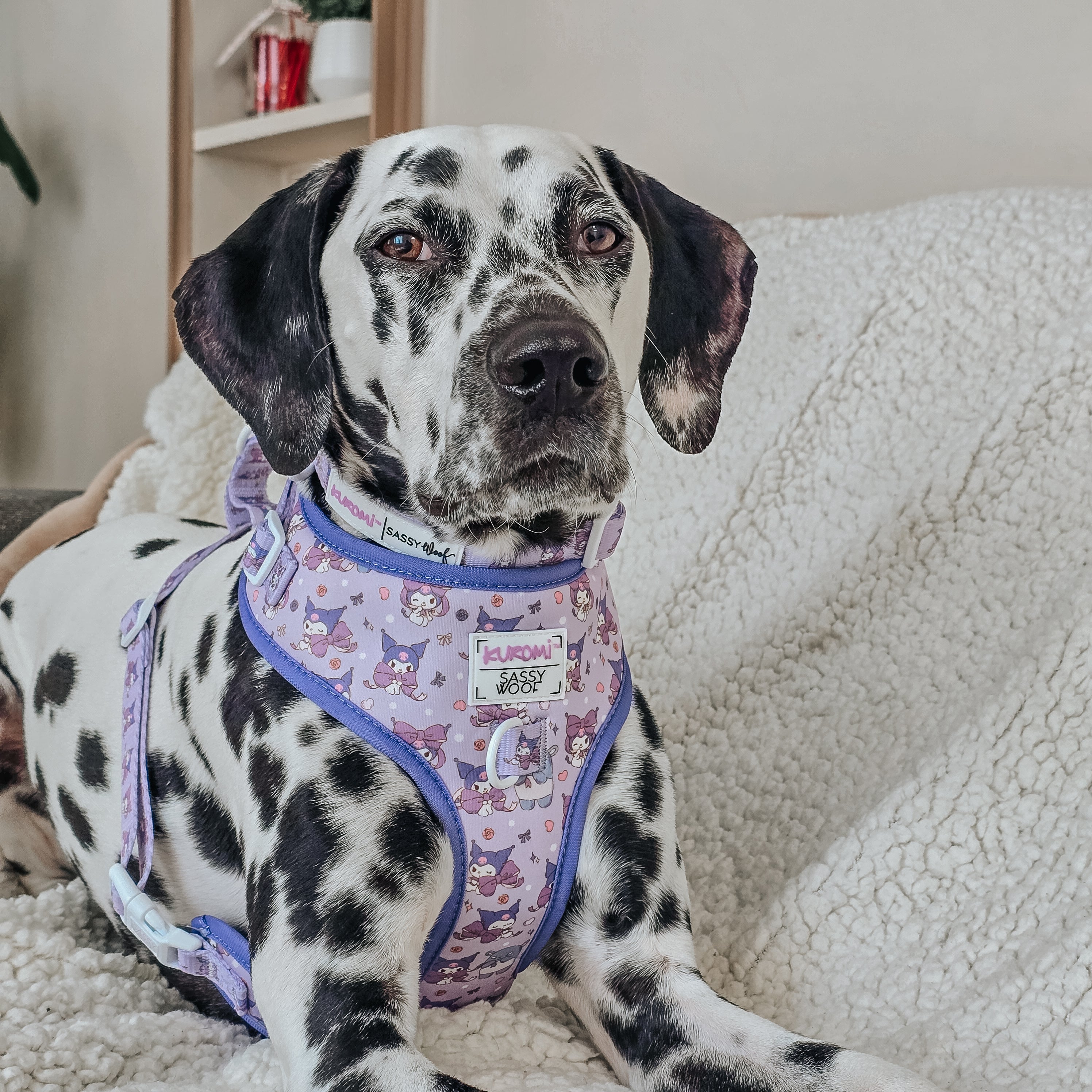 Dog Adjustable Harness - Kuromi™