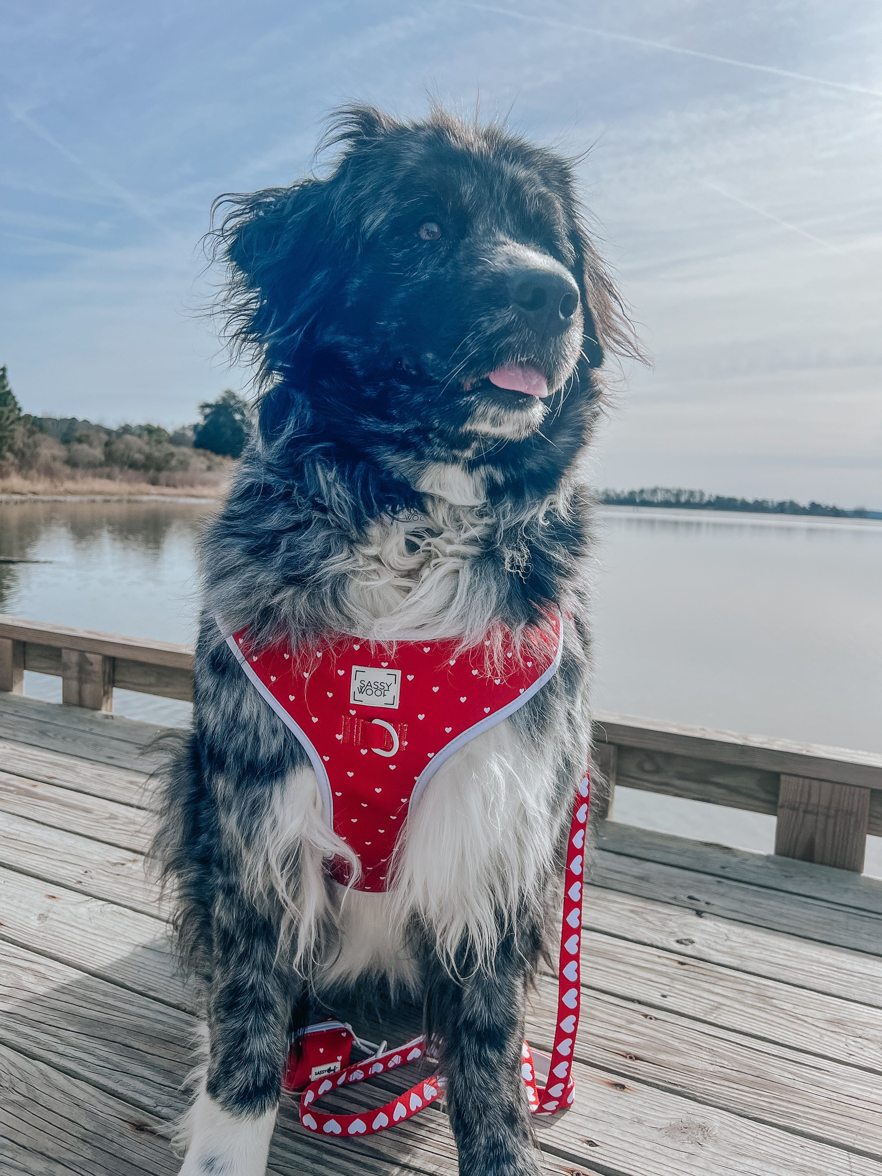 Dog Adjustable Harness - Little Love