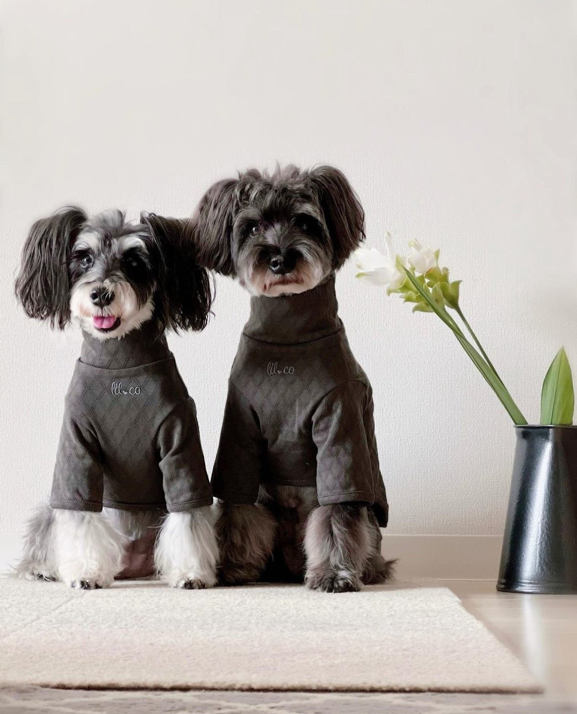 Marlowe Pet