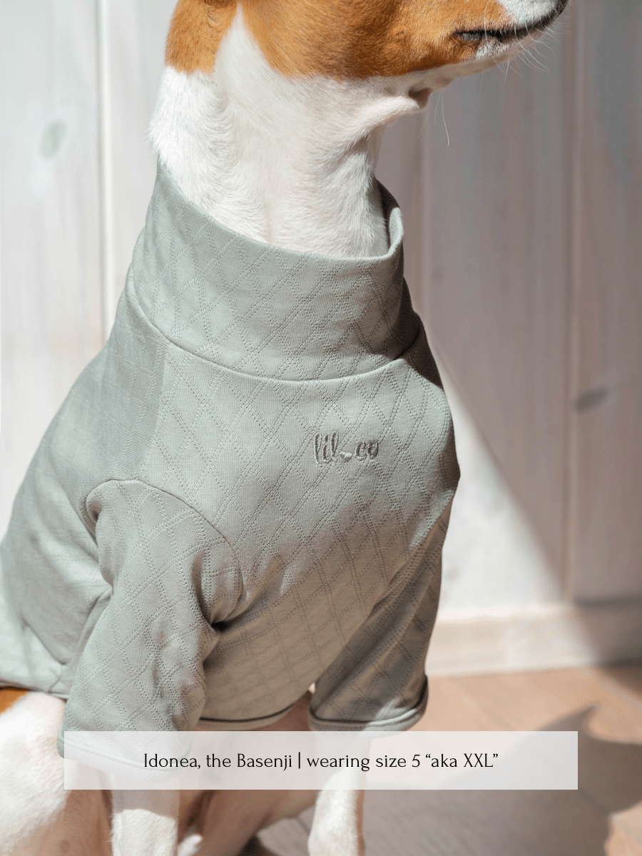 Marlowe Pet