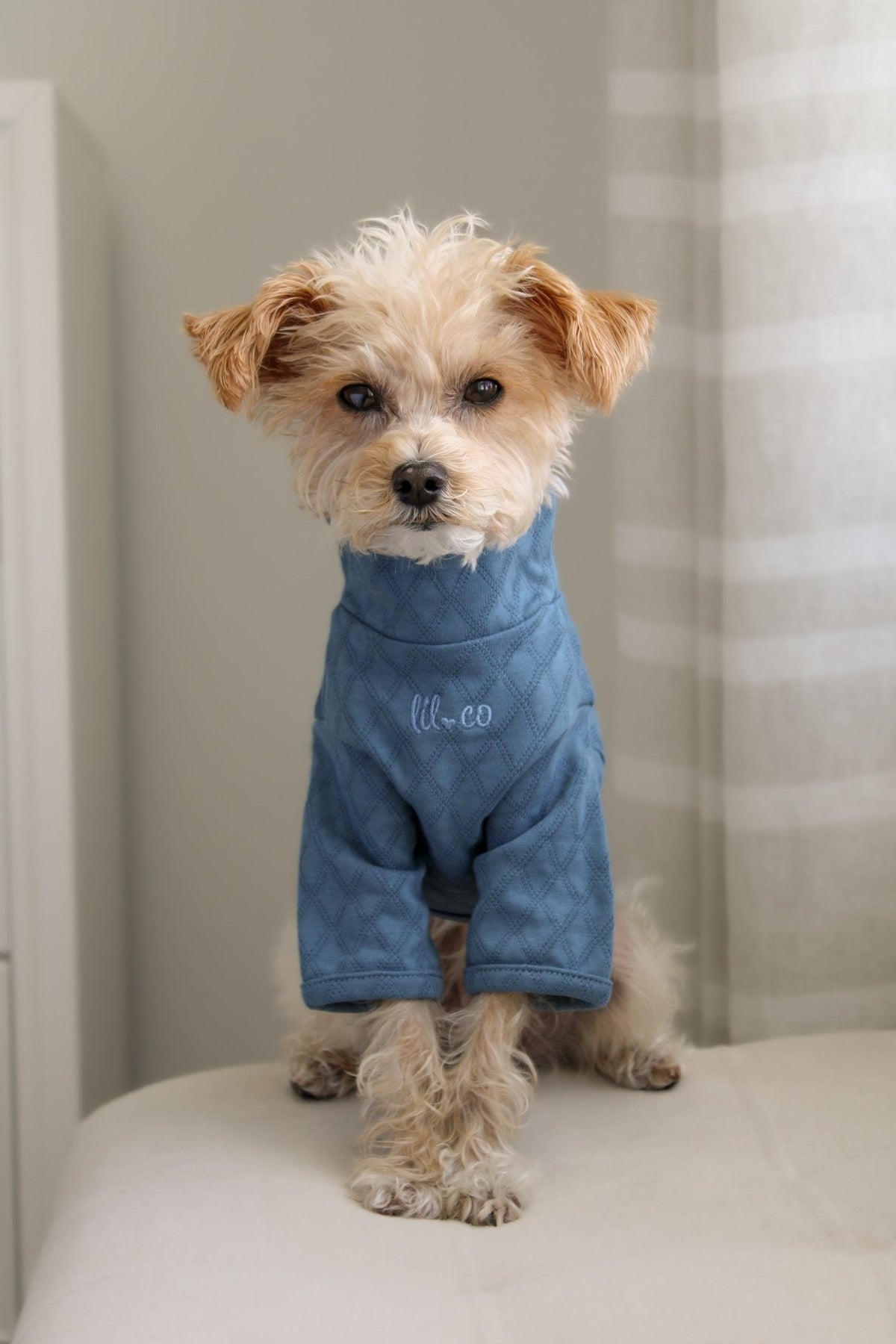 Marlowe Pet