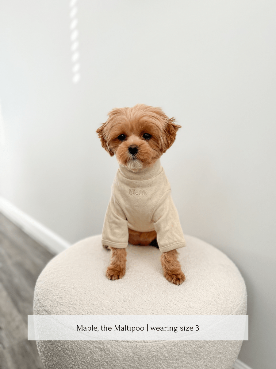 Marlowe Pet