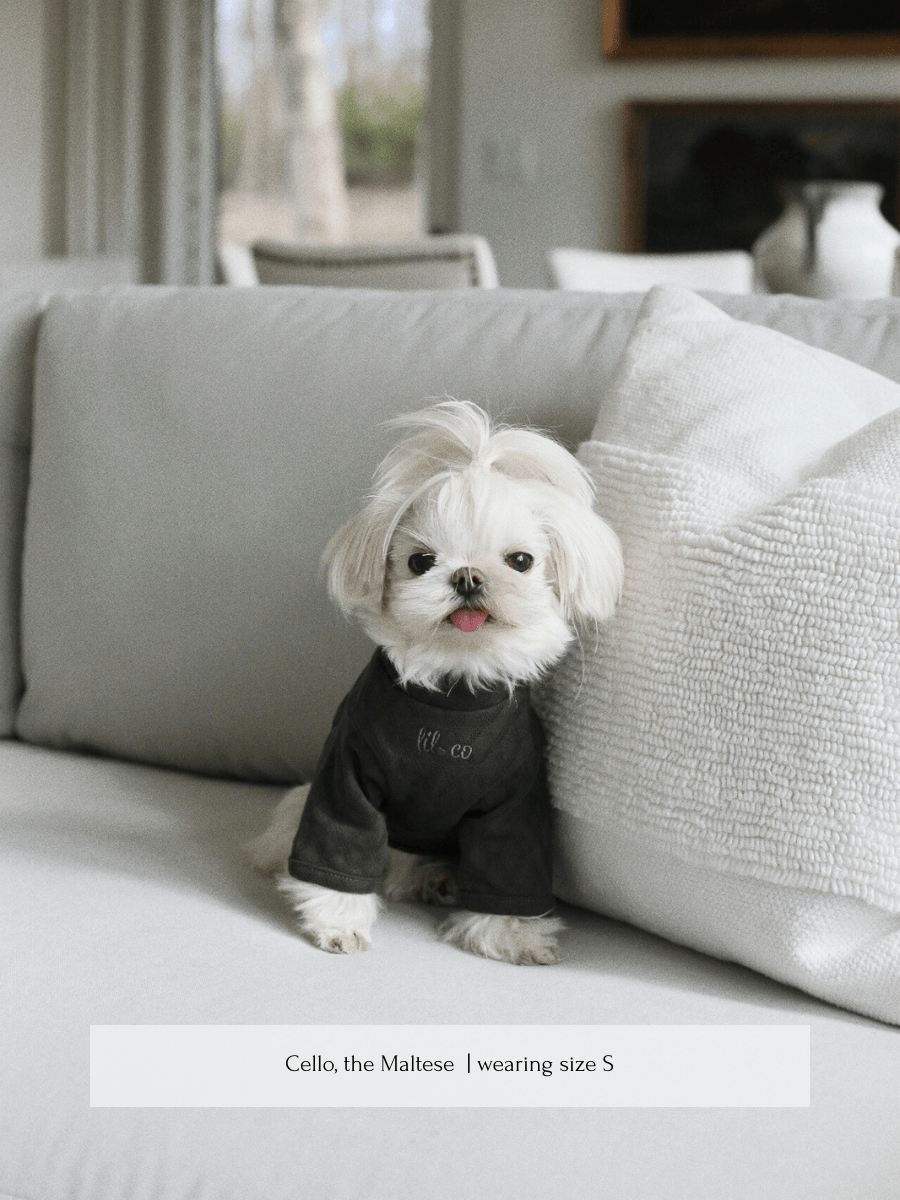 Marlowe Pet