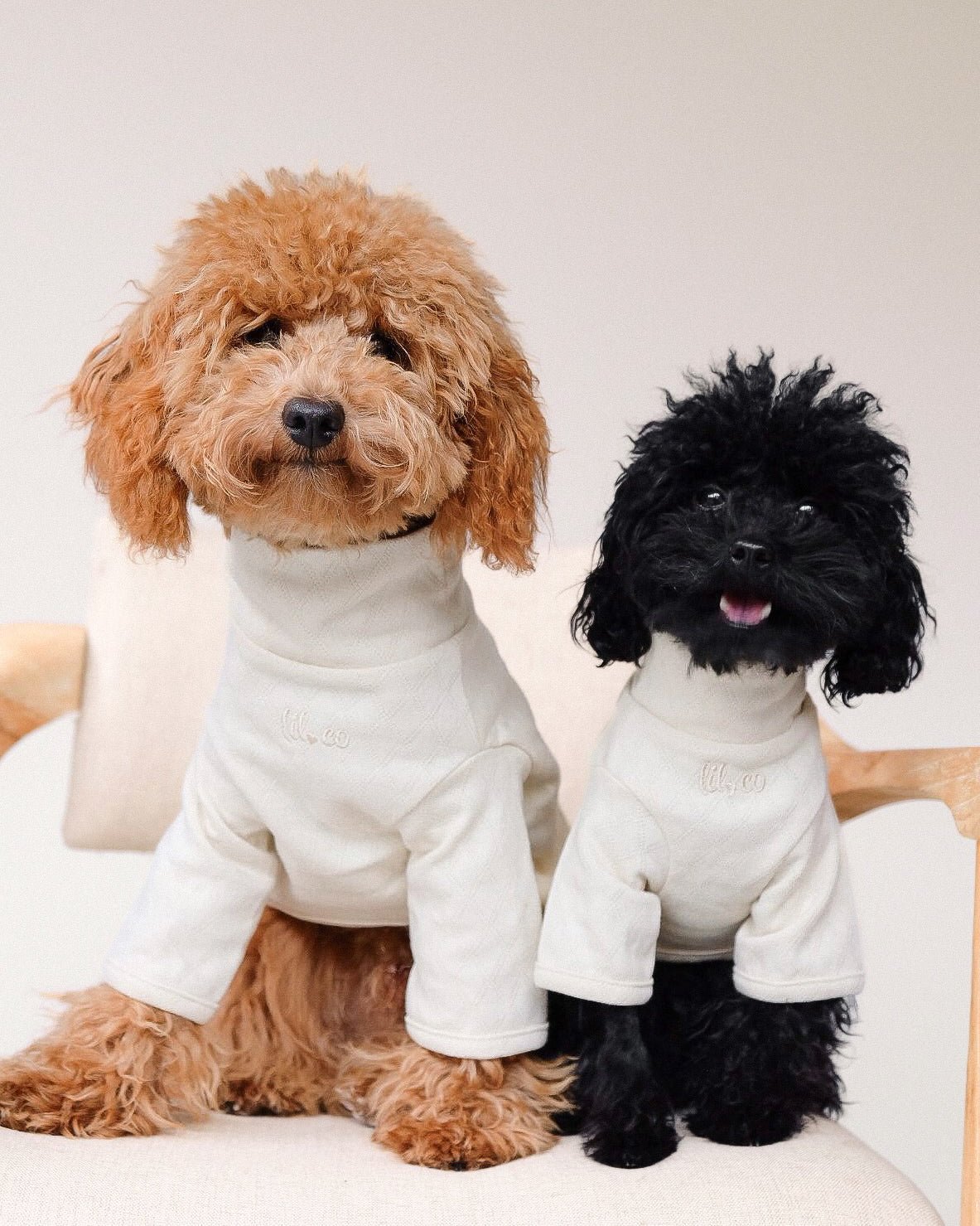 Marlowe Pet
