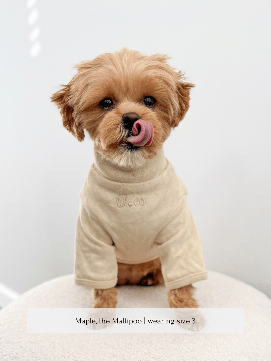 Marlowe Pet