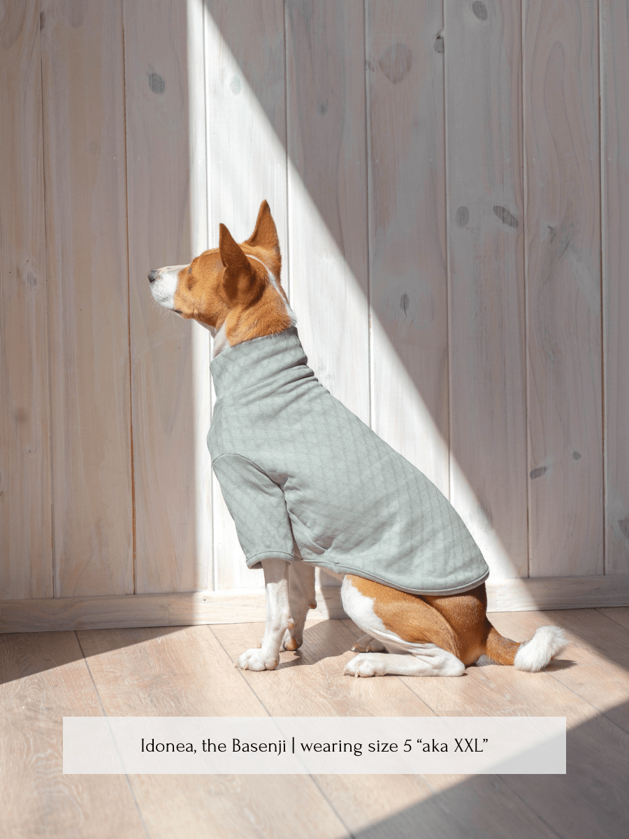 Marlowe Pet