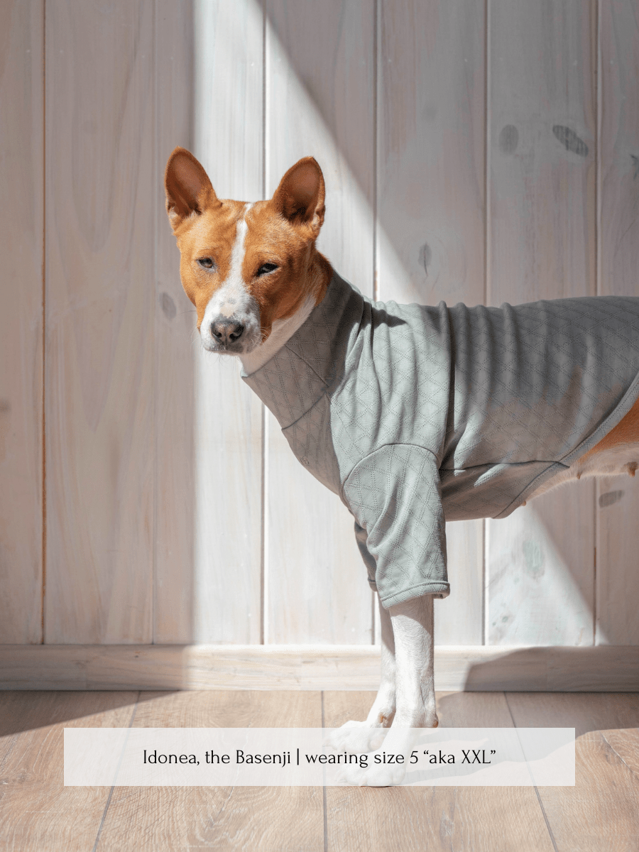 Marlowe Pet