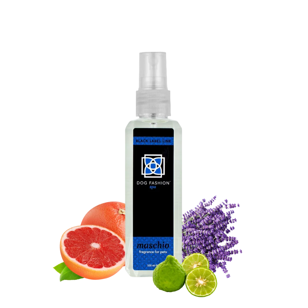 Maschio Fragrance 100 ml by Dog Fashion Spa