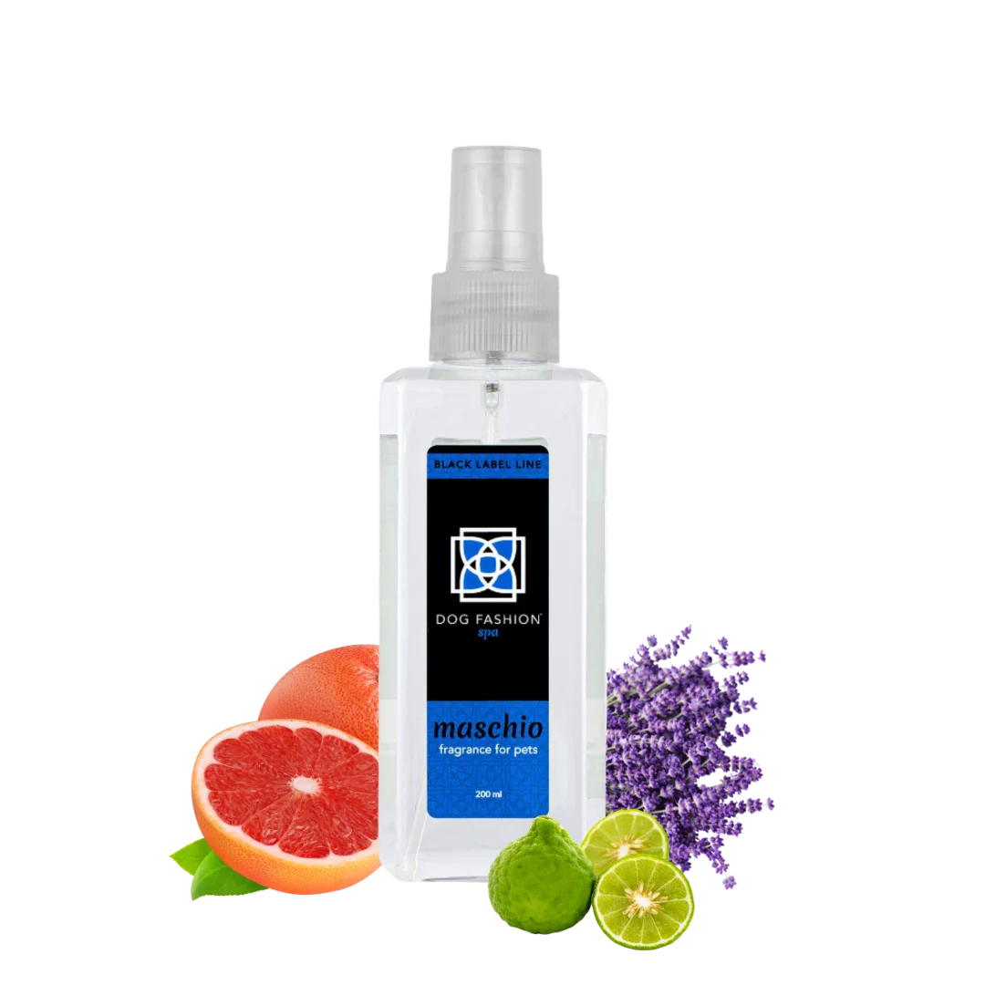Maschio Fragrance 200 ml  by Dog Fashion Spa