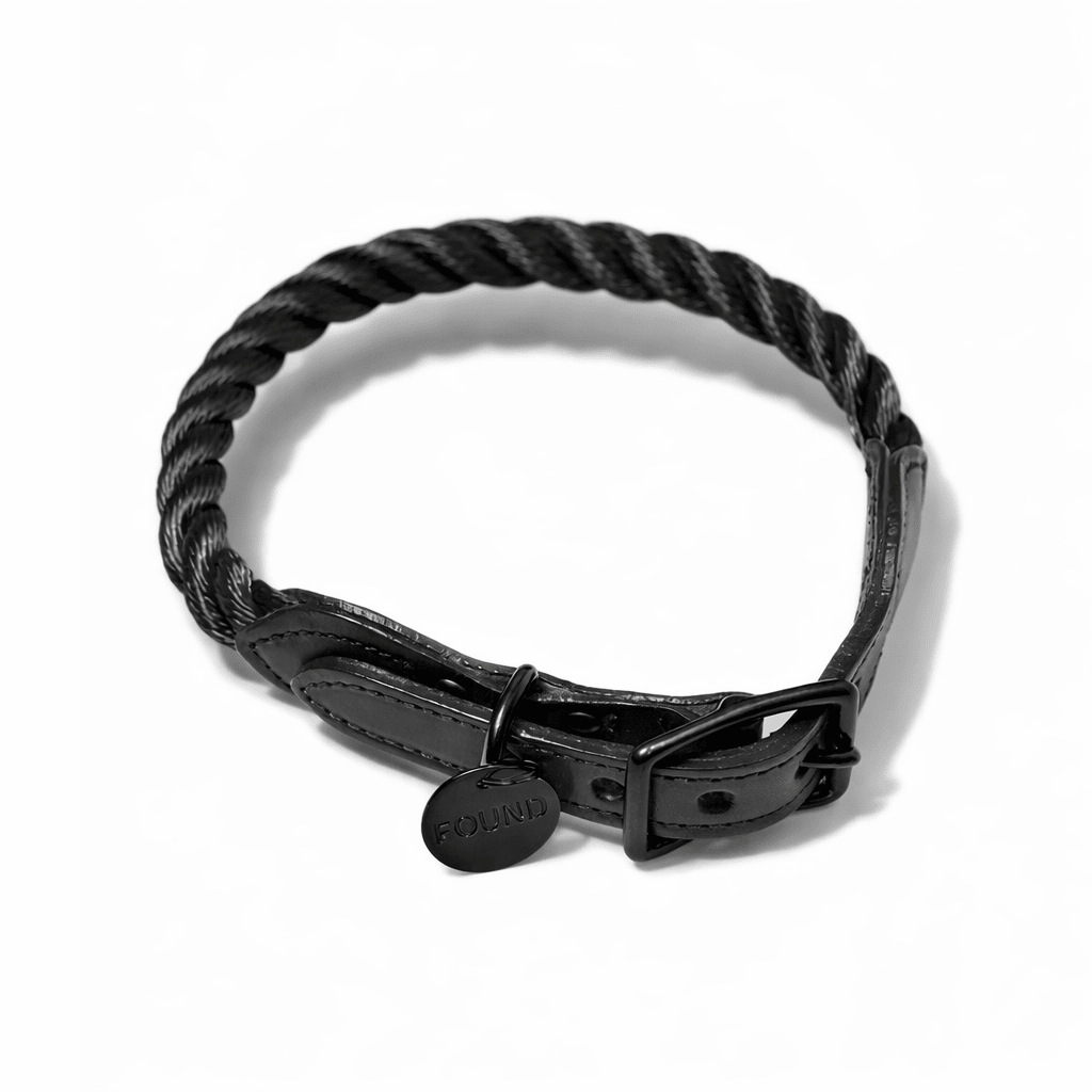 New! Matte Black Rope & Leather Cat & Dog Collar