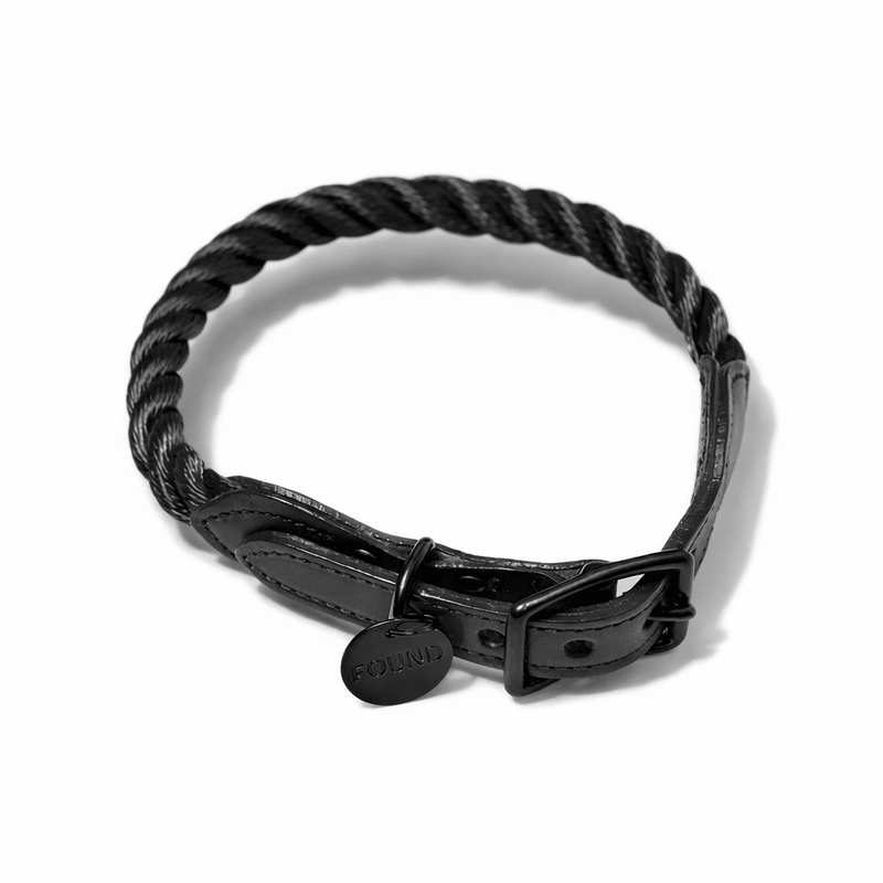 New! Matte Black Rope & Leather Cat & Dog Collar