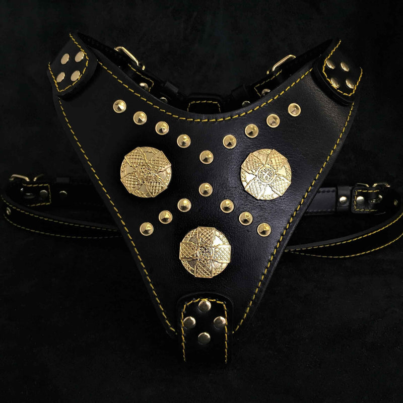 Bestia Maximus Black & Gold Leather Dog Harness