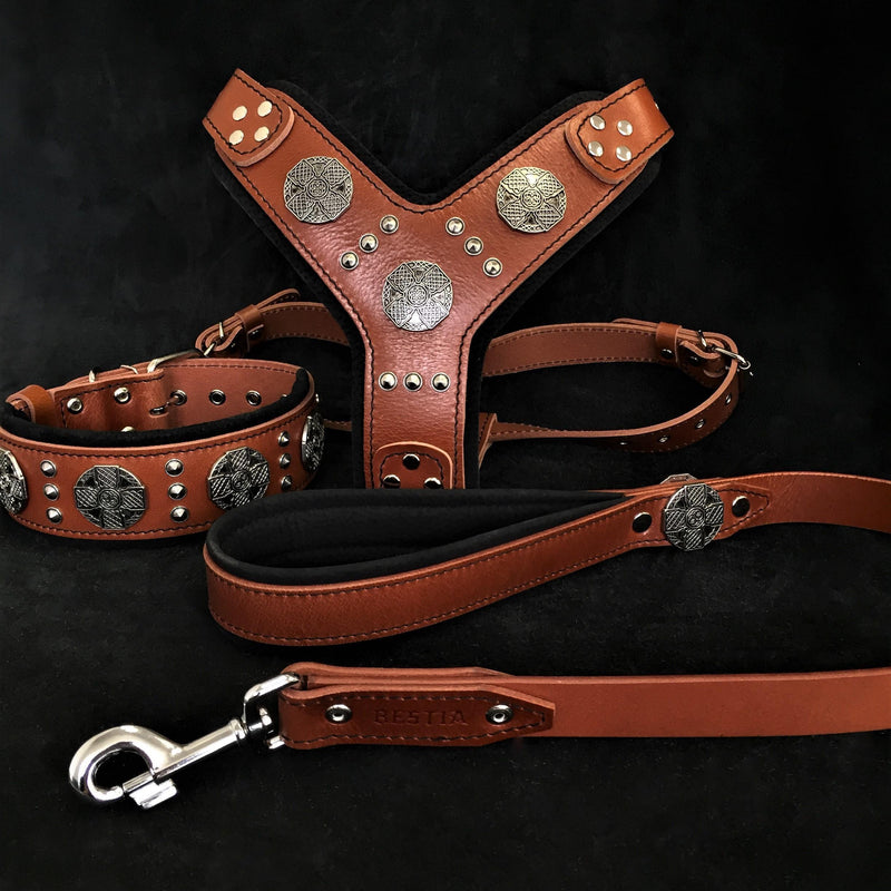 Bestia Dog Gear "Maximus Silver" BIG dog SET- Harness - collar - lead. Brown Genuine Leather Silver pet supplies
