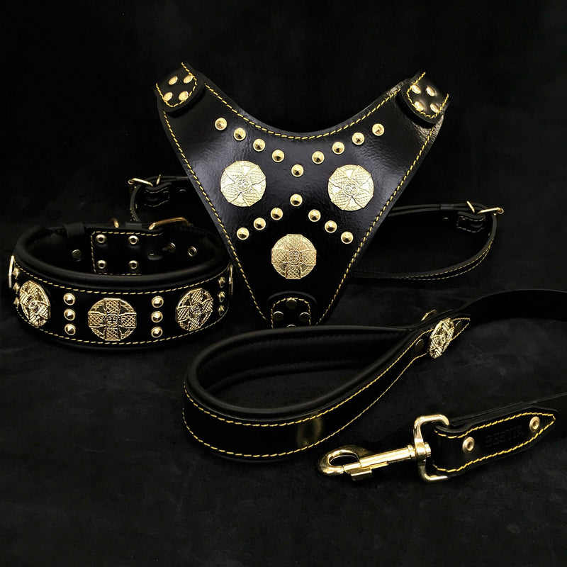 Bestia Dog Gear "Maximus Black" BIG dog SET- Harness - collar - lead. Brass rivets Genuine Leather Black pet supplies