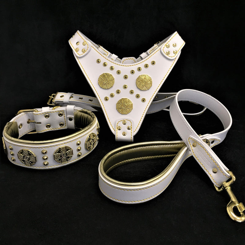 Bestia Dog Gear "Maximus White" BIG dog SET- Harness - collar - lead. Brass rivets Genuine Leather White pet supplies