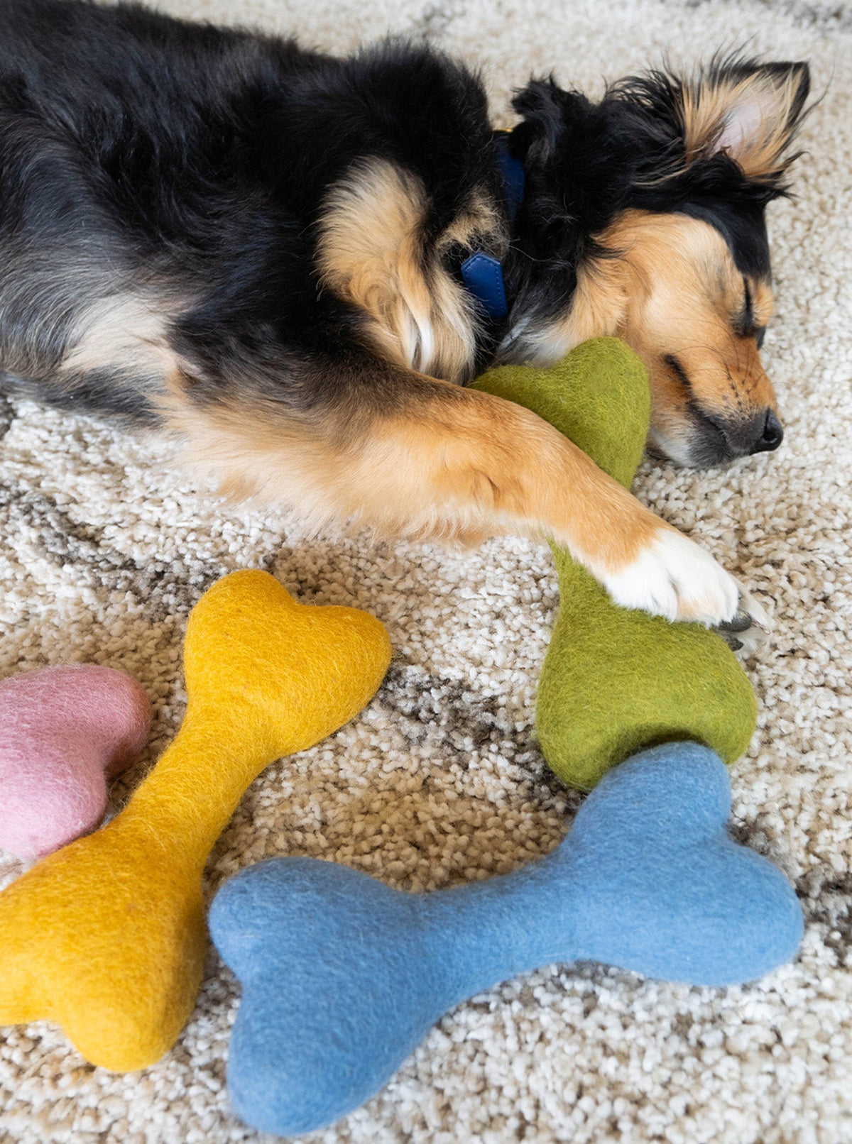 MB WOOLBONE | HT Animal Supply